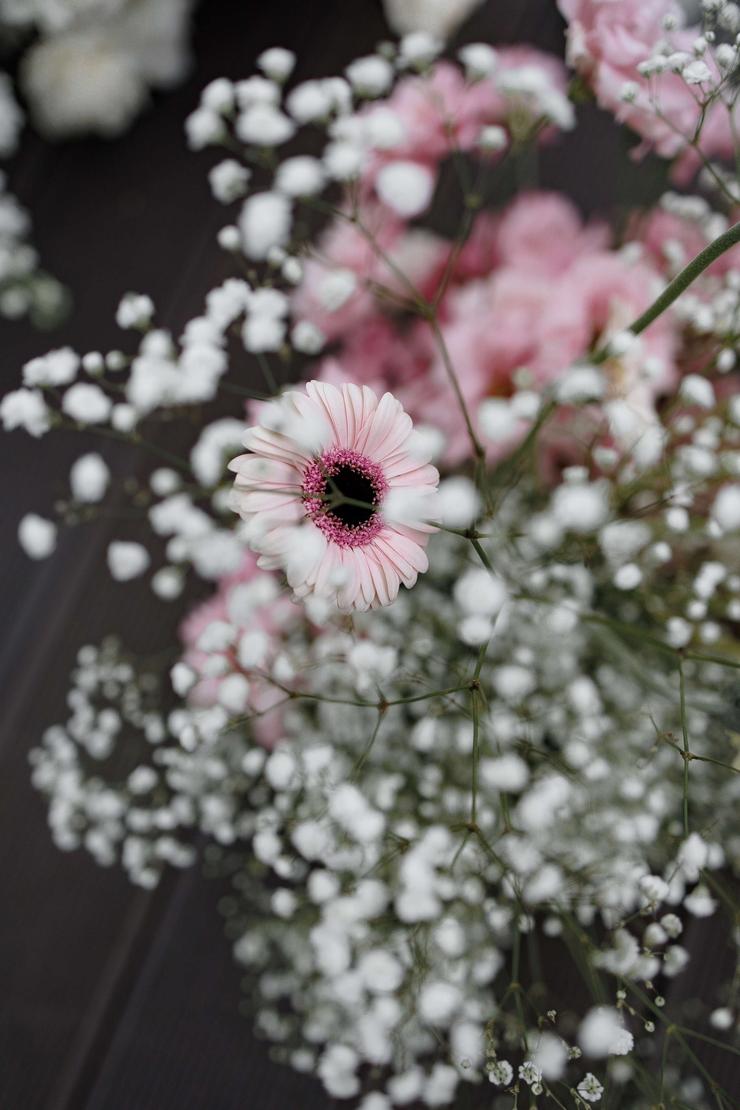 11/08/2023. Свадебный фотограф в Санкт-Петербурге Александр Пащенко