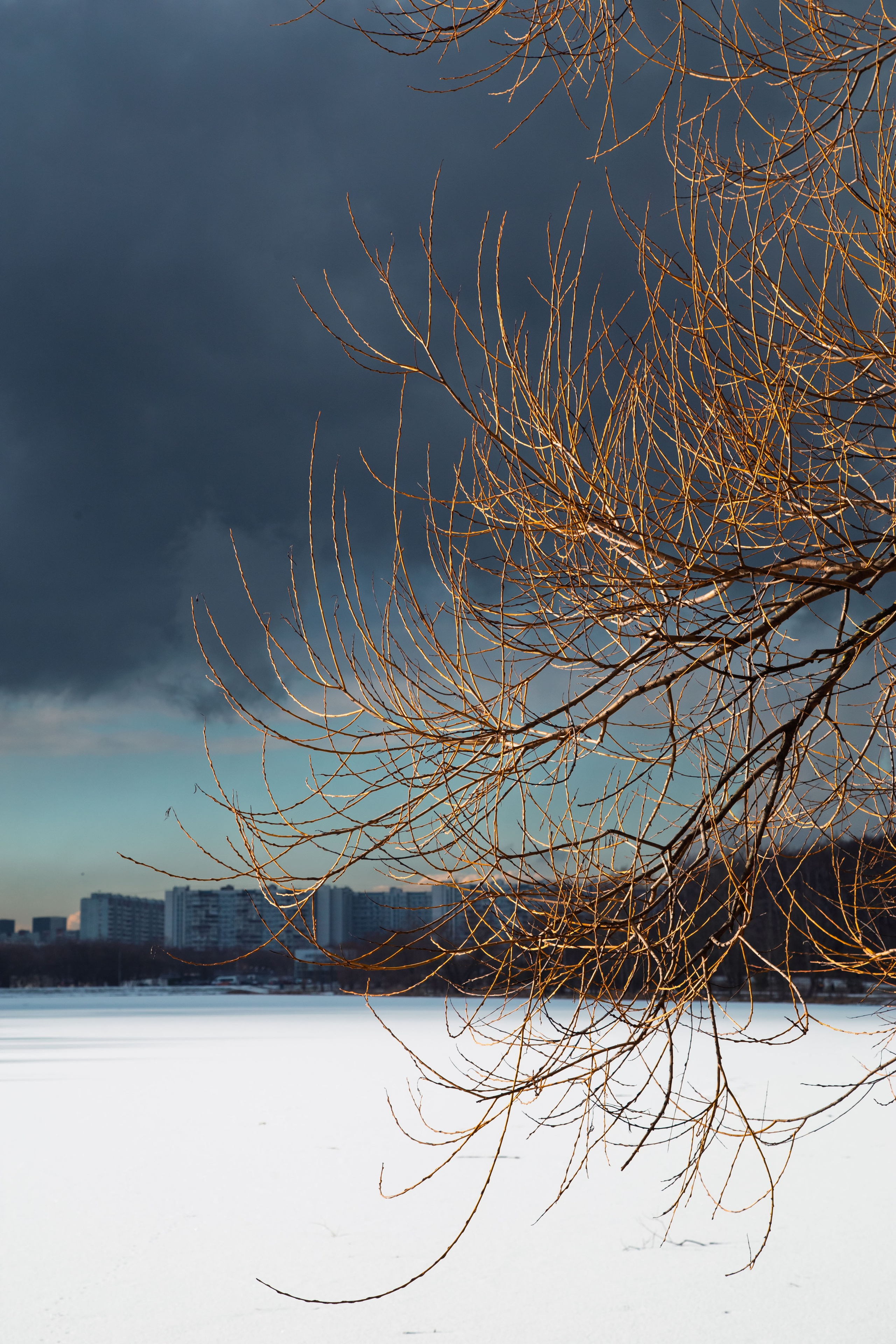 Осенняя зима. Dmitriy [KCCC] is a pretty cool photographer