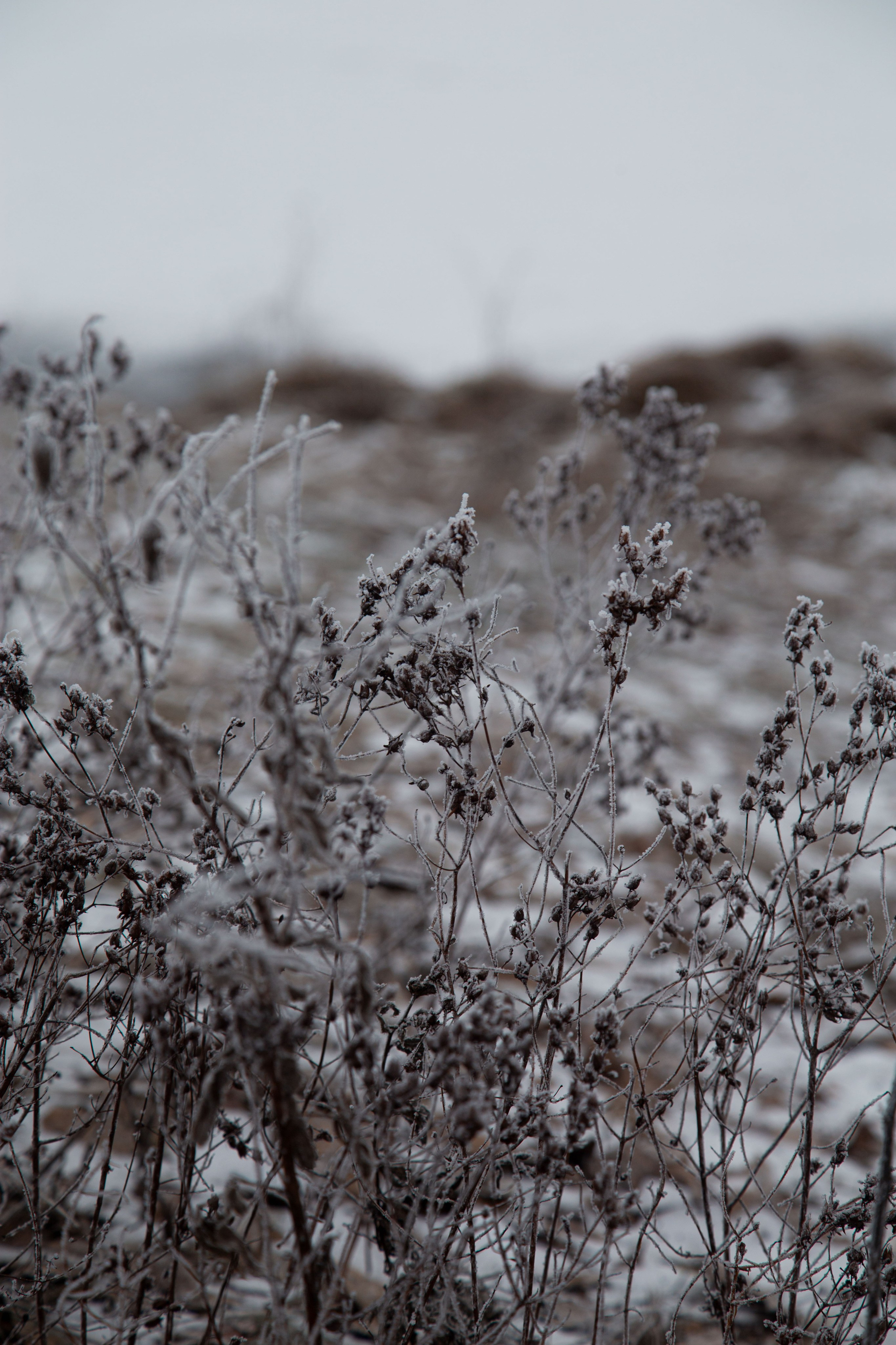 Воздух февраля. Dmitriy [KCCC] is a pretty cool photographer