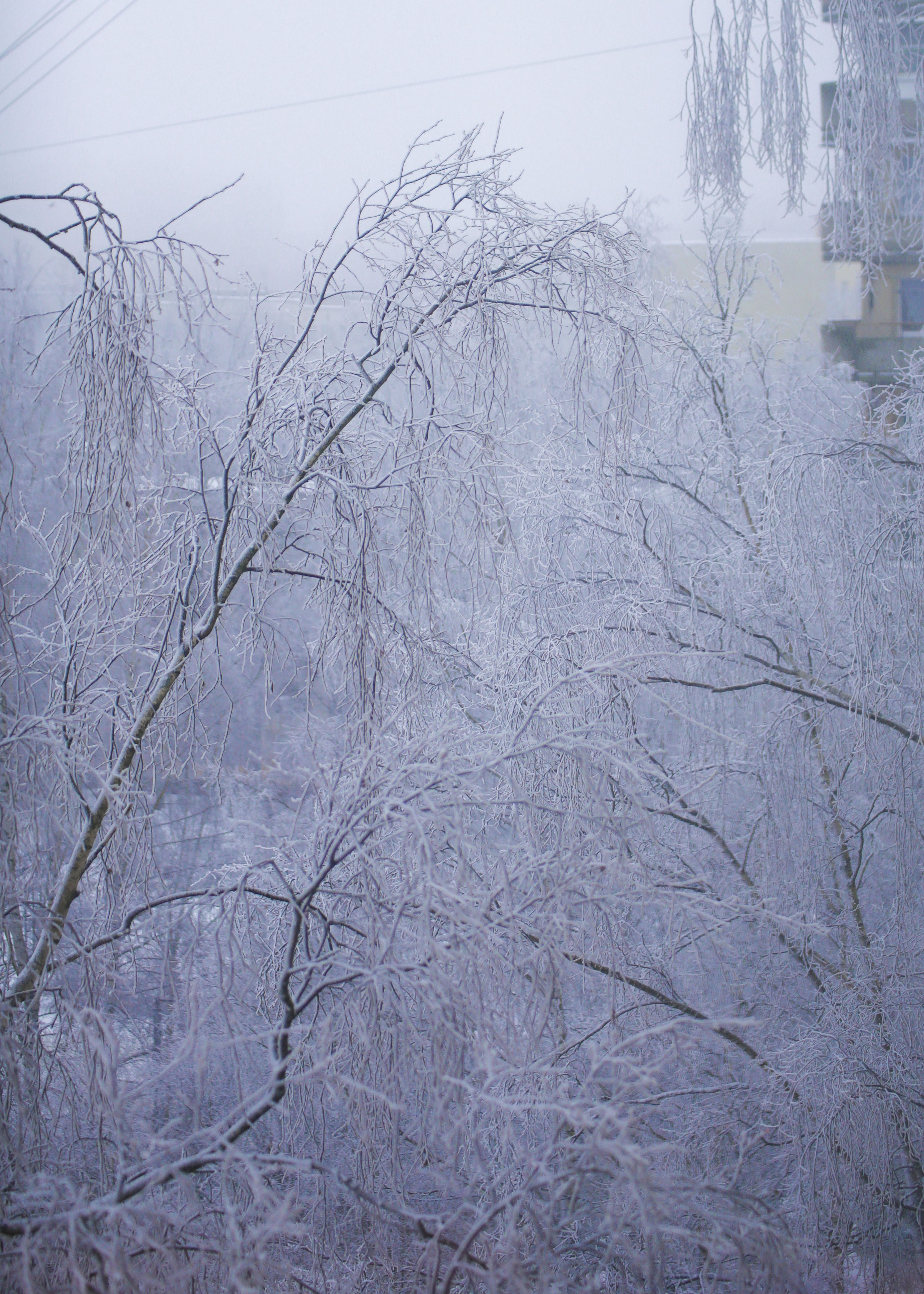 Зима. Костюмер, художник кино и телевидения в спб