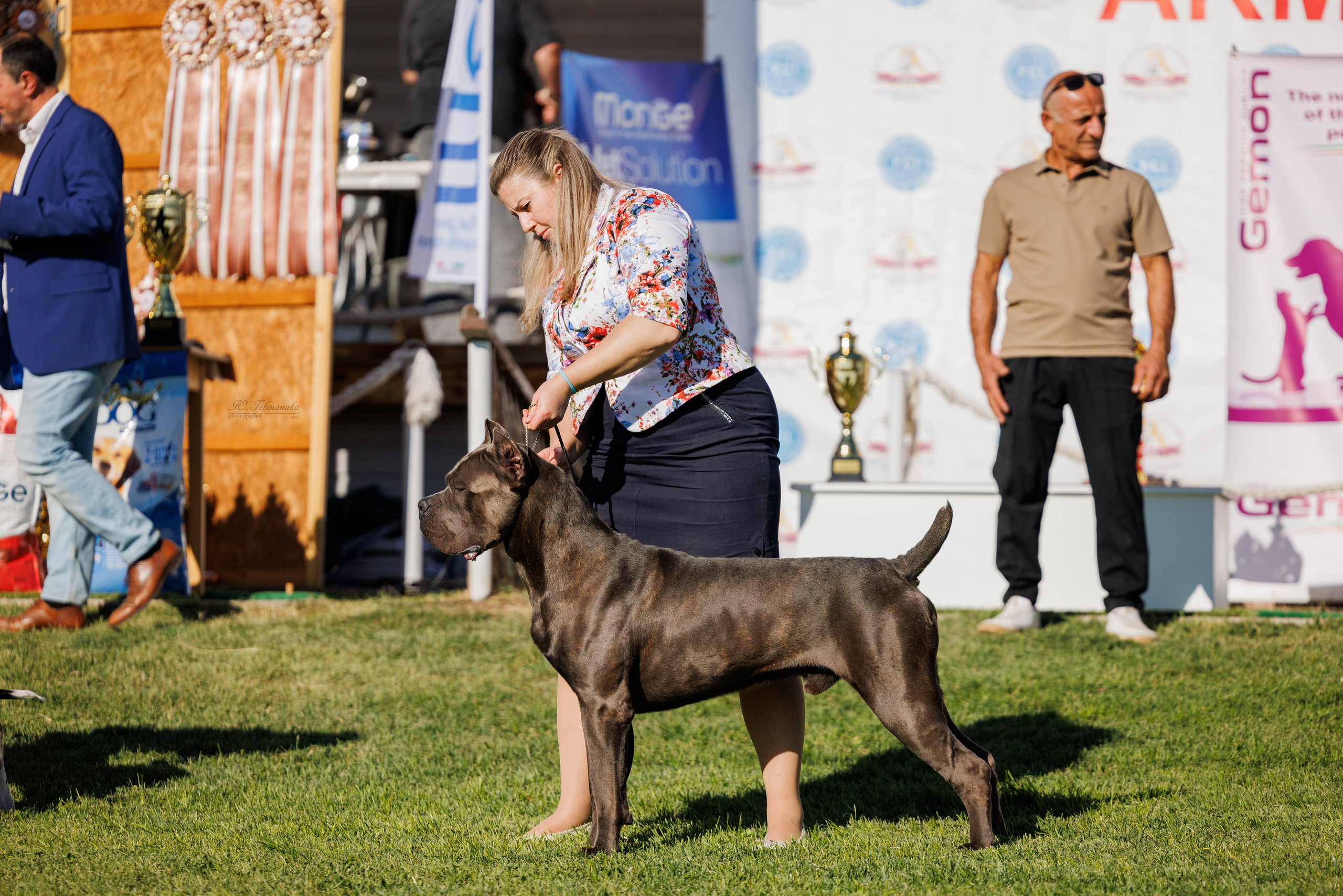 Ереван 14-16.10.2025. Фотограф-анималист Юлия Германика