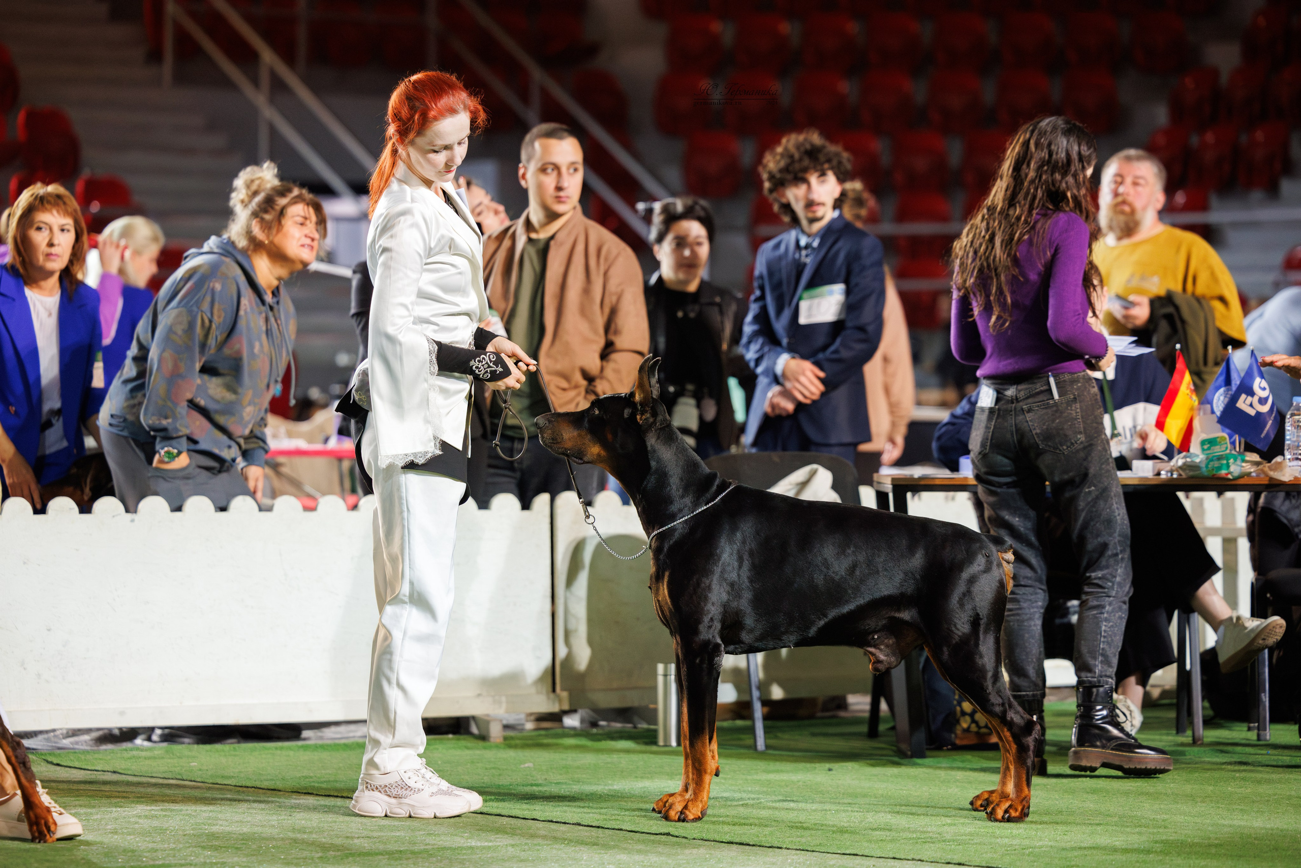 Грузия,Телави 2хCACIB 19-20.10.2024. Фотограф-анималист Юлия Германика