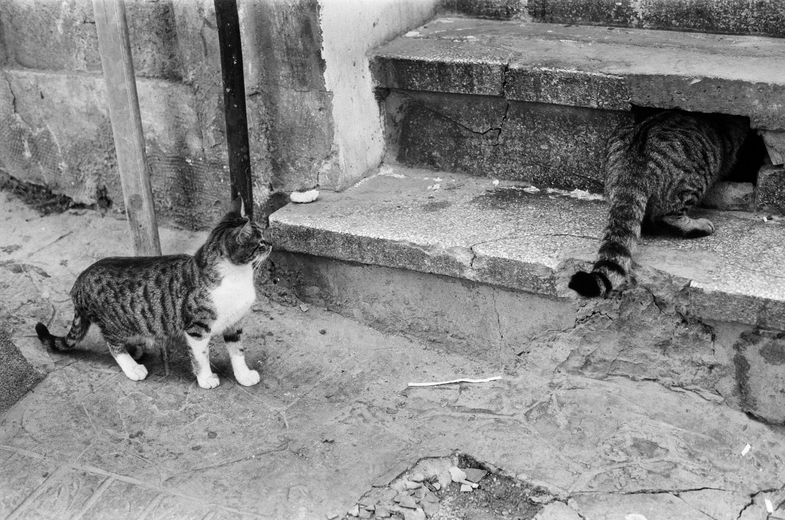 Complicated // turkey, istanbul IV. EVER EXPOSED