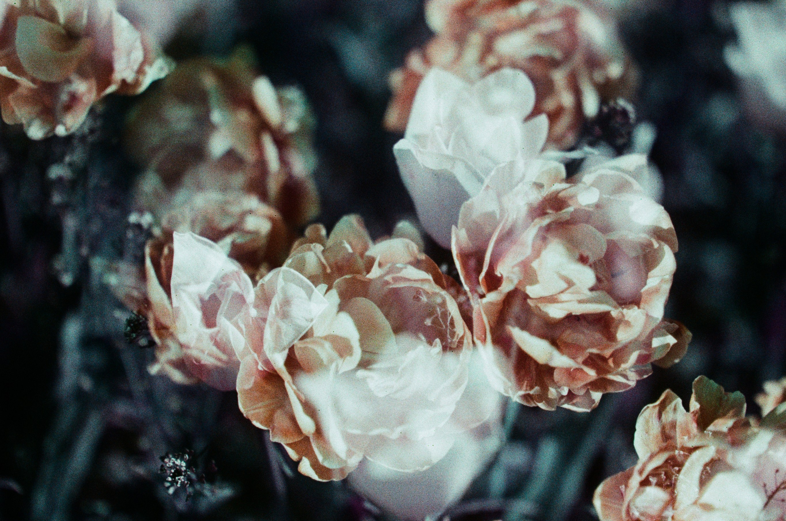 Press enter to exit // ukraine, crimea X. EVER EXPOSED