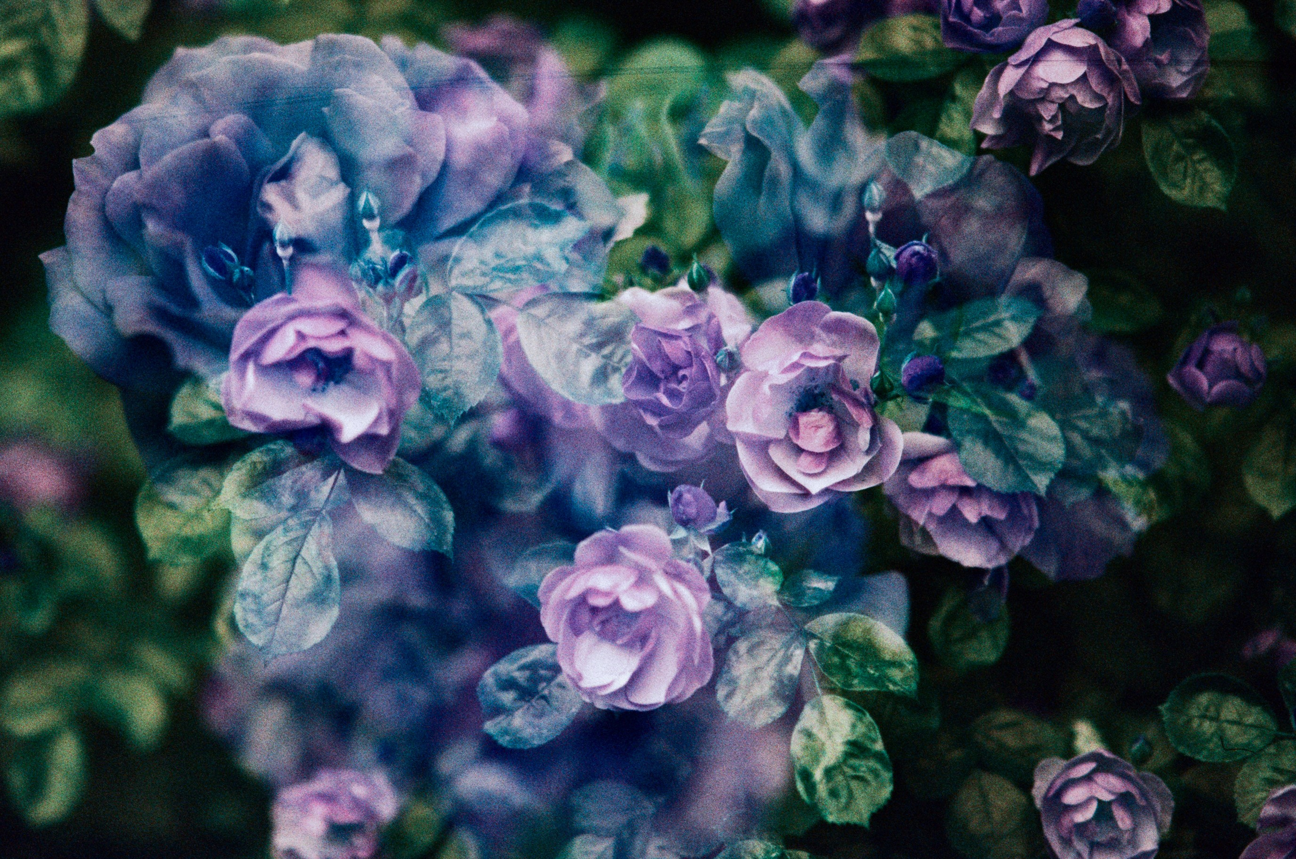 Pain shopping // ukraine, crimea VII. EVER EXPOSED