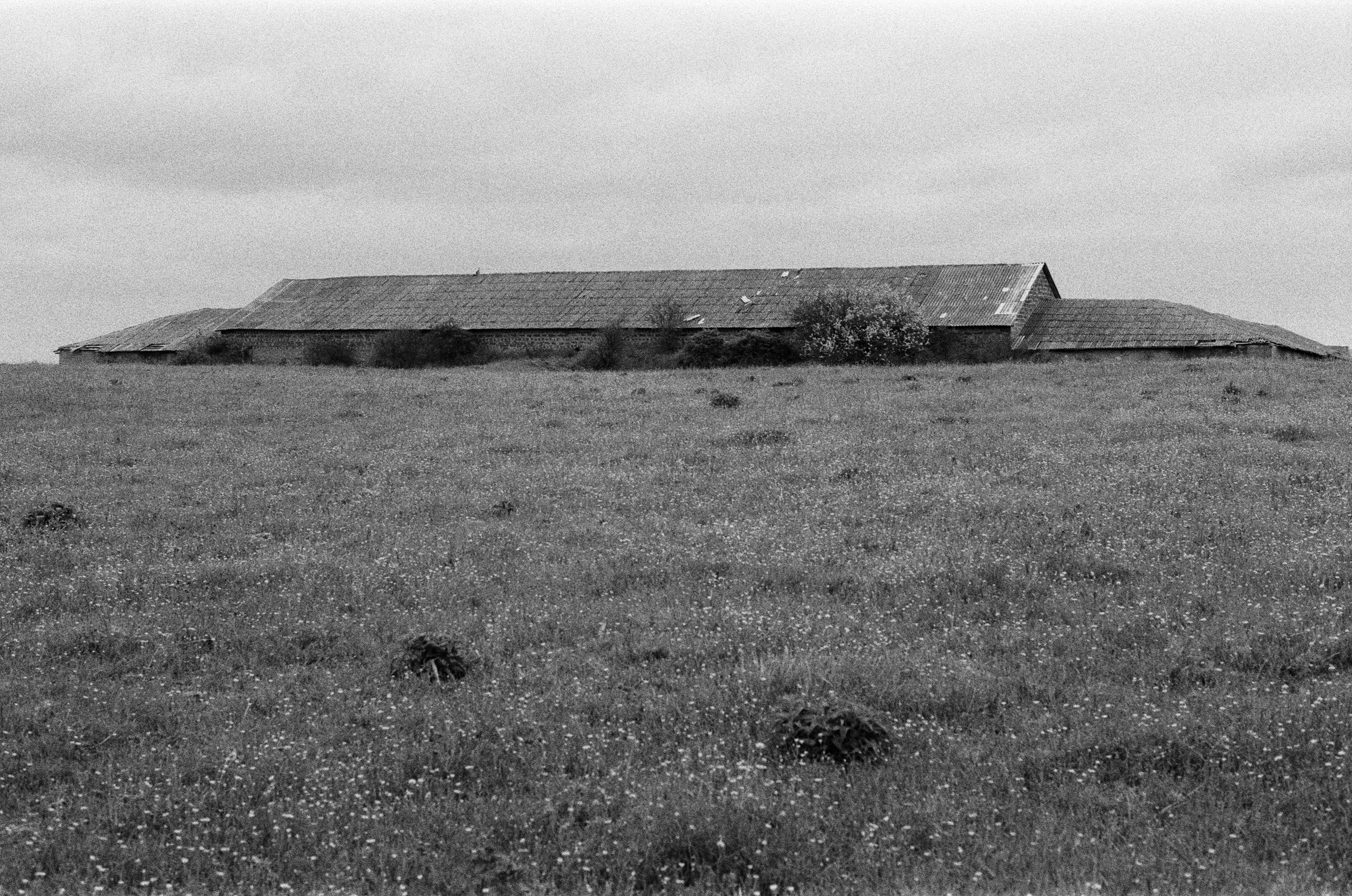 Move me // ukraine, crimea. EVER EXPOSED