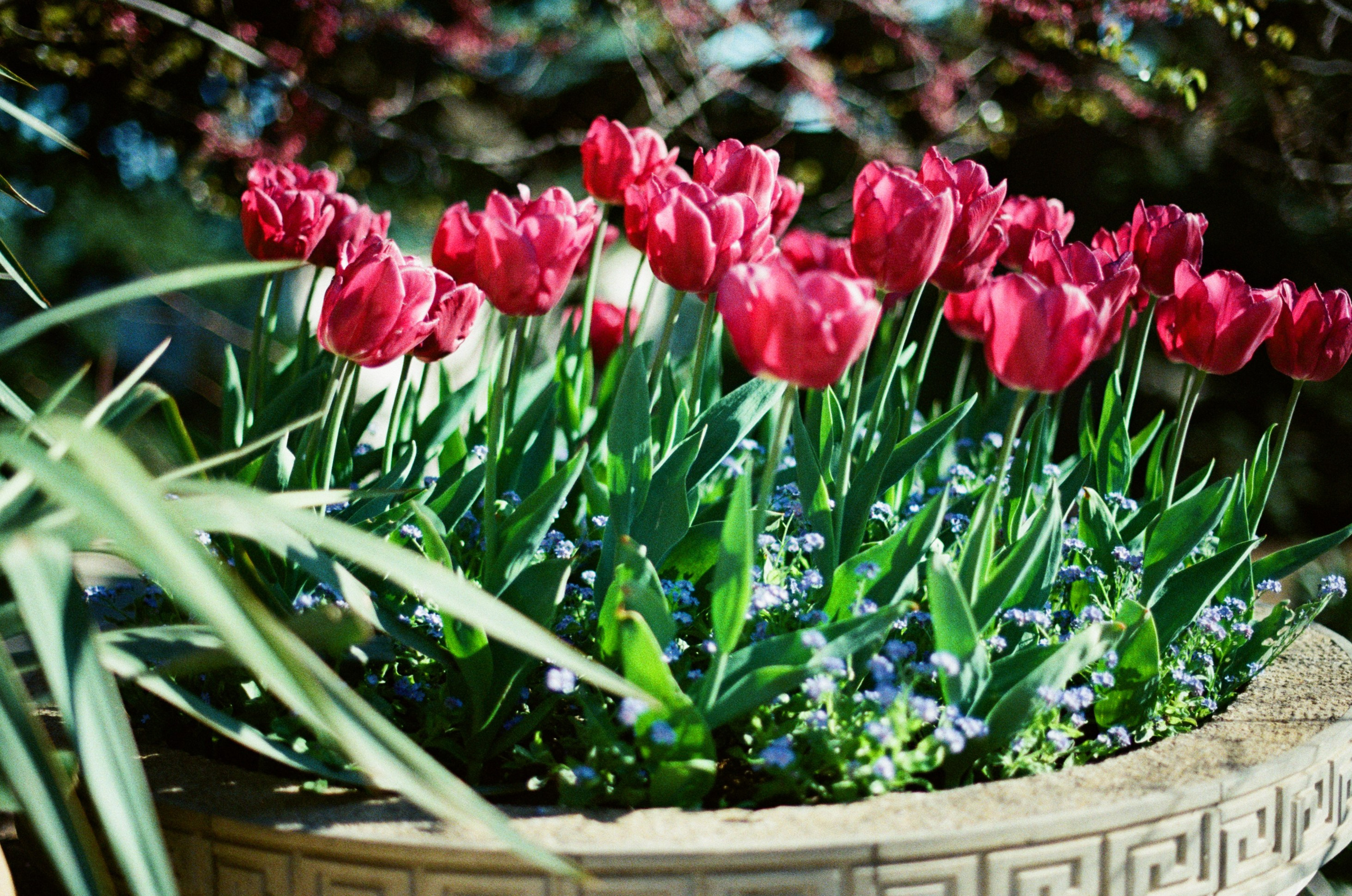 Follow you // ukraine, crimea V. EVER EXPOSED