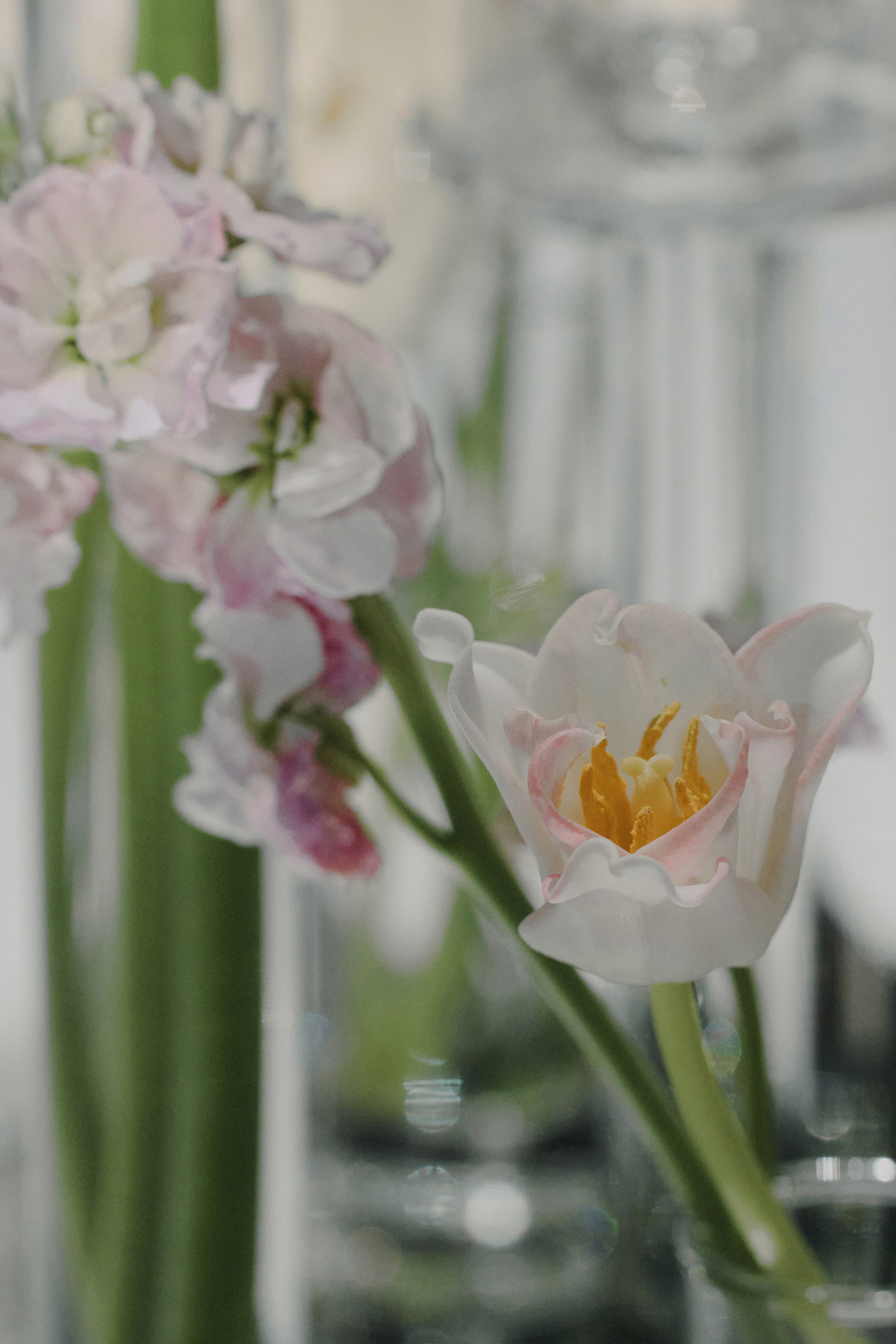 Your love is all I need in my world. Свадебный фотограф в Ростовe-на-Дону Анастасия Прутова