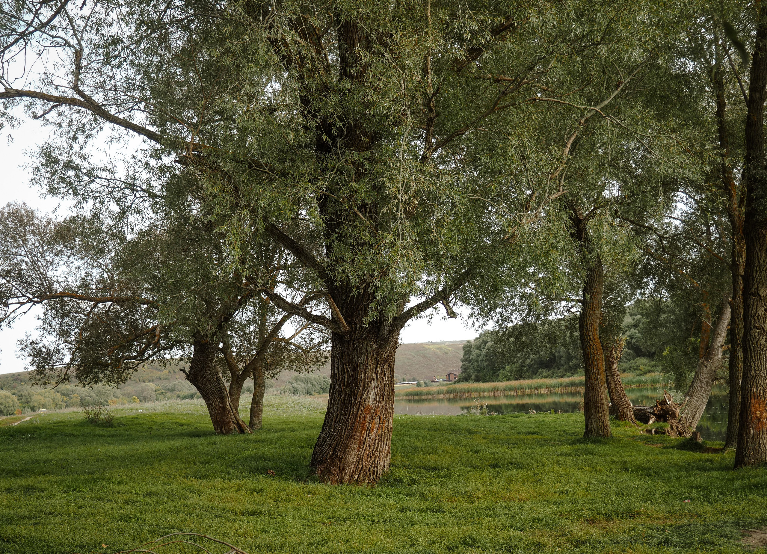 Wallpapers. Фотограф Казань