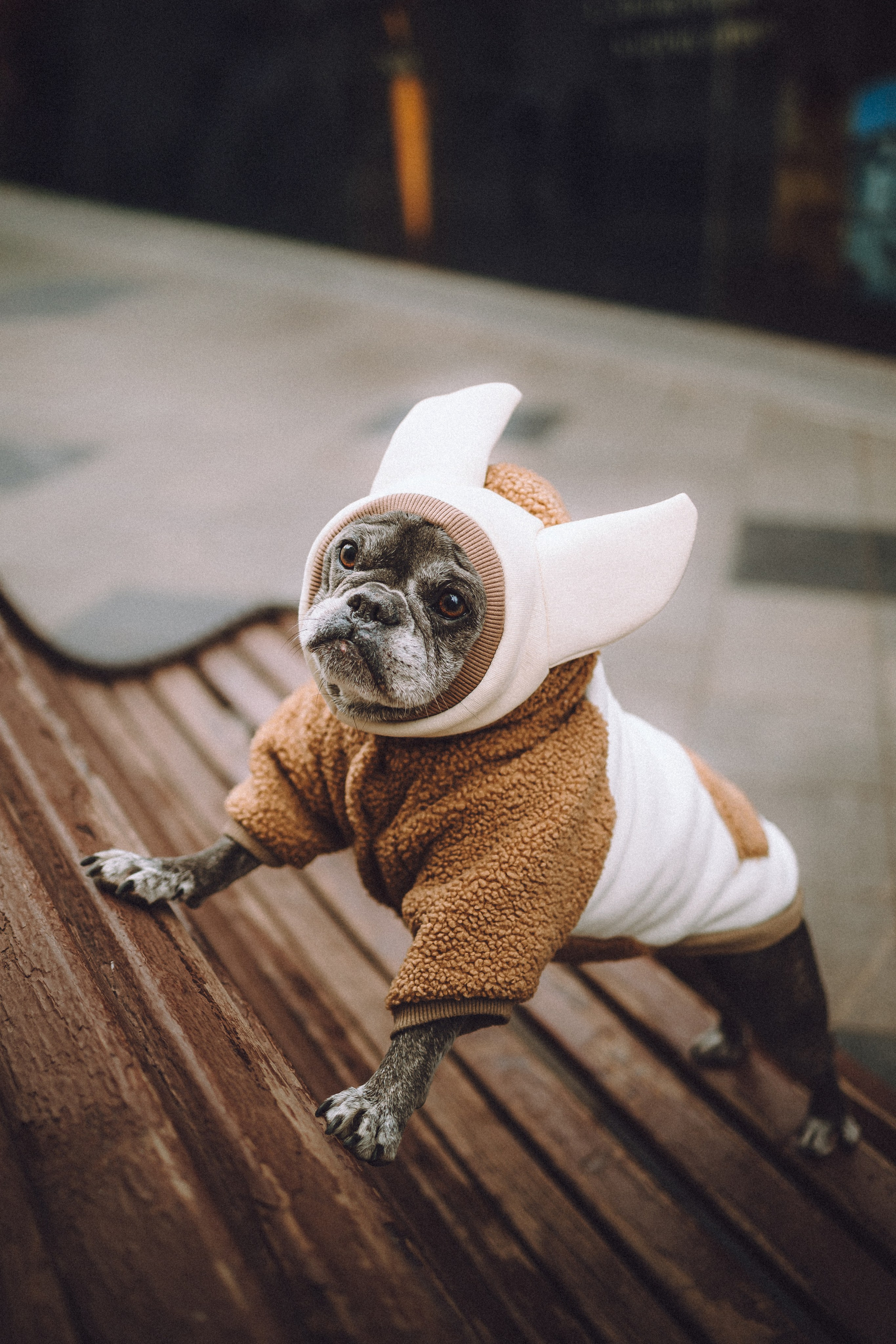 Юля, Вова и Моня