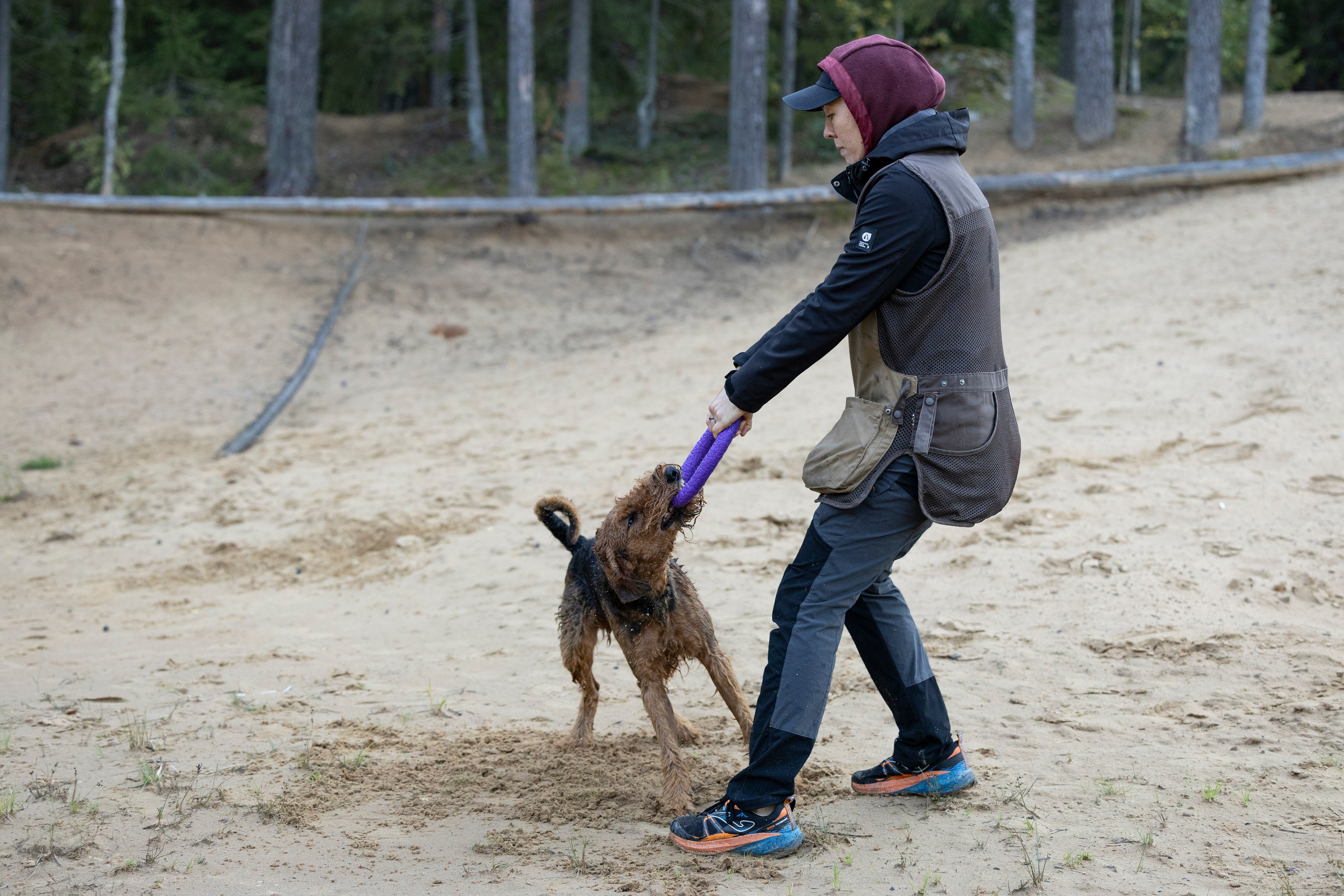 Харди. Фотограф-анималист Анна Маринич