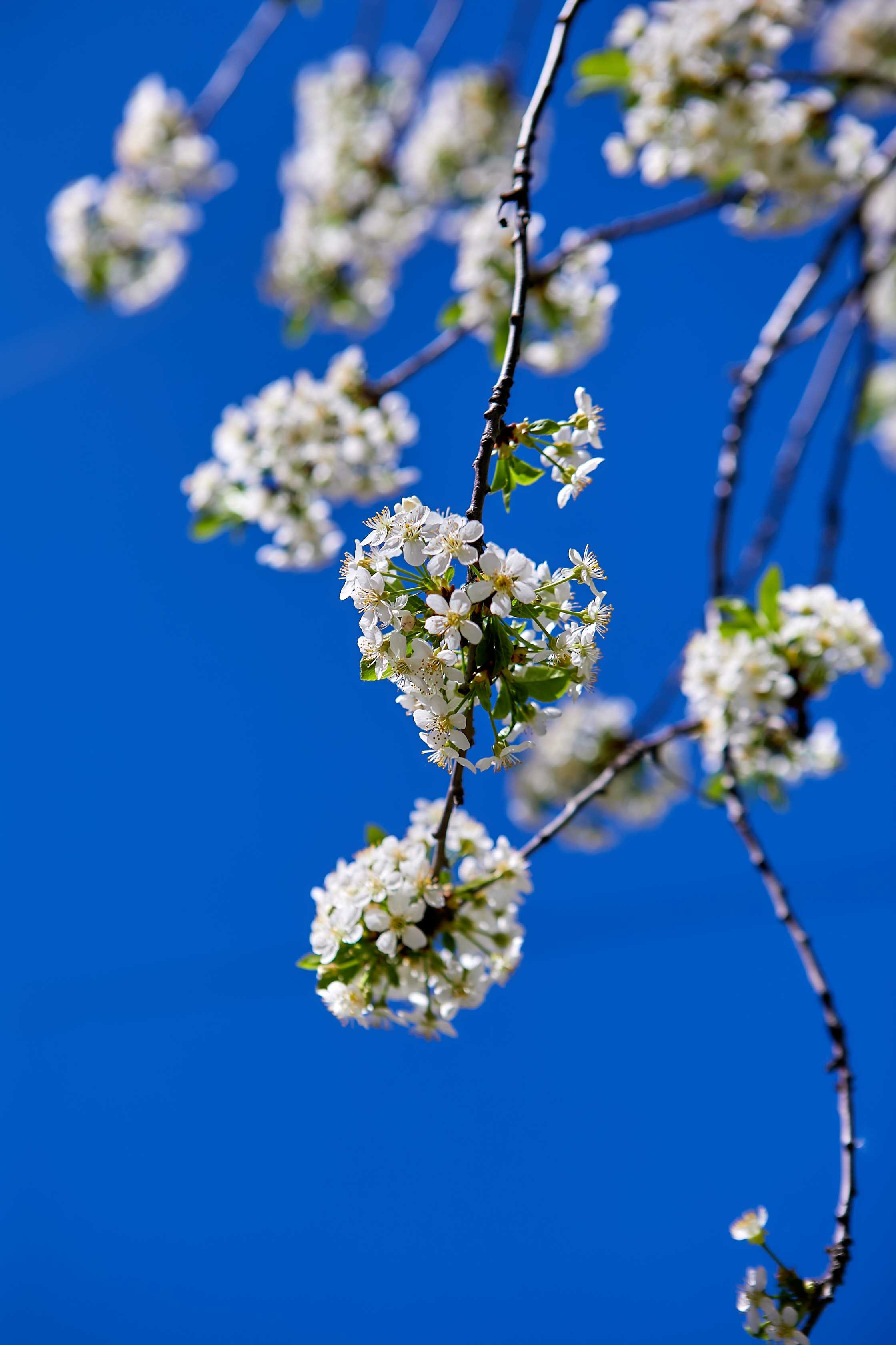 Видовые фото УГНТУ. УГНТУ — Ведущий нефтегазовый вуз России