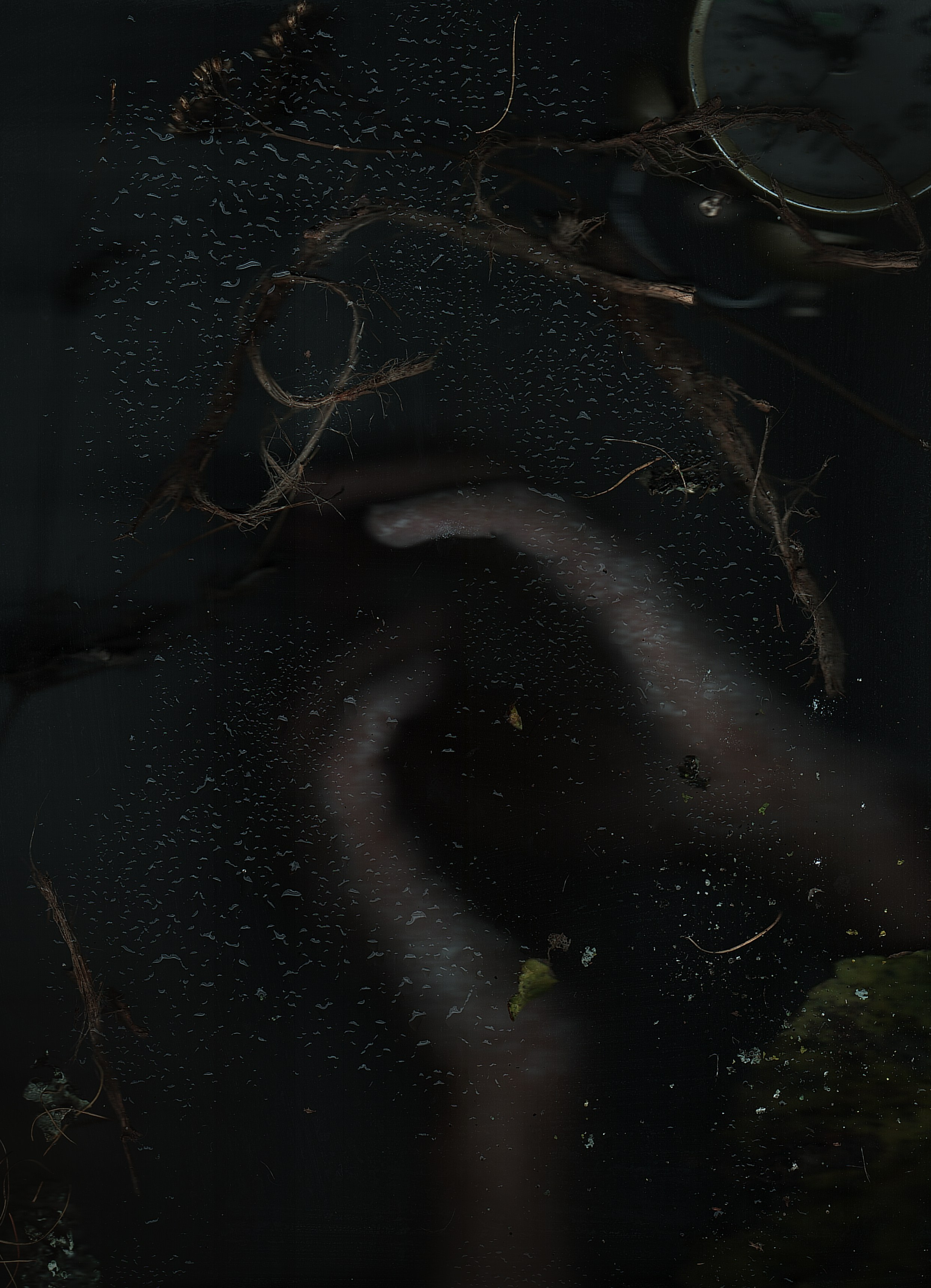 Интерьерные фотокартины. Фотограф Наталья Туева FineArt съёмка