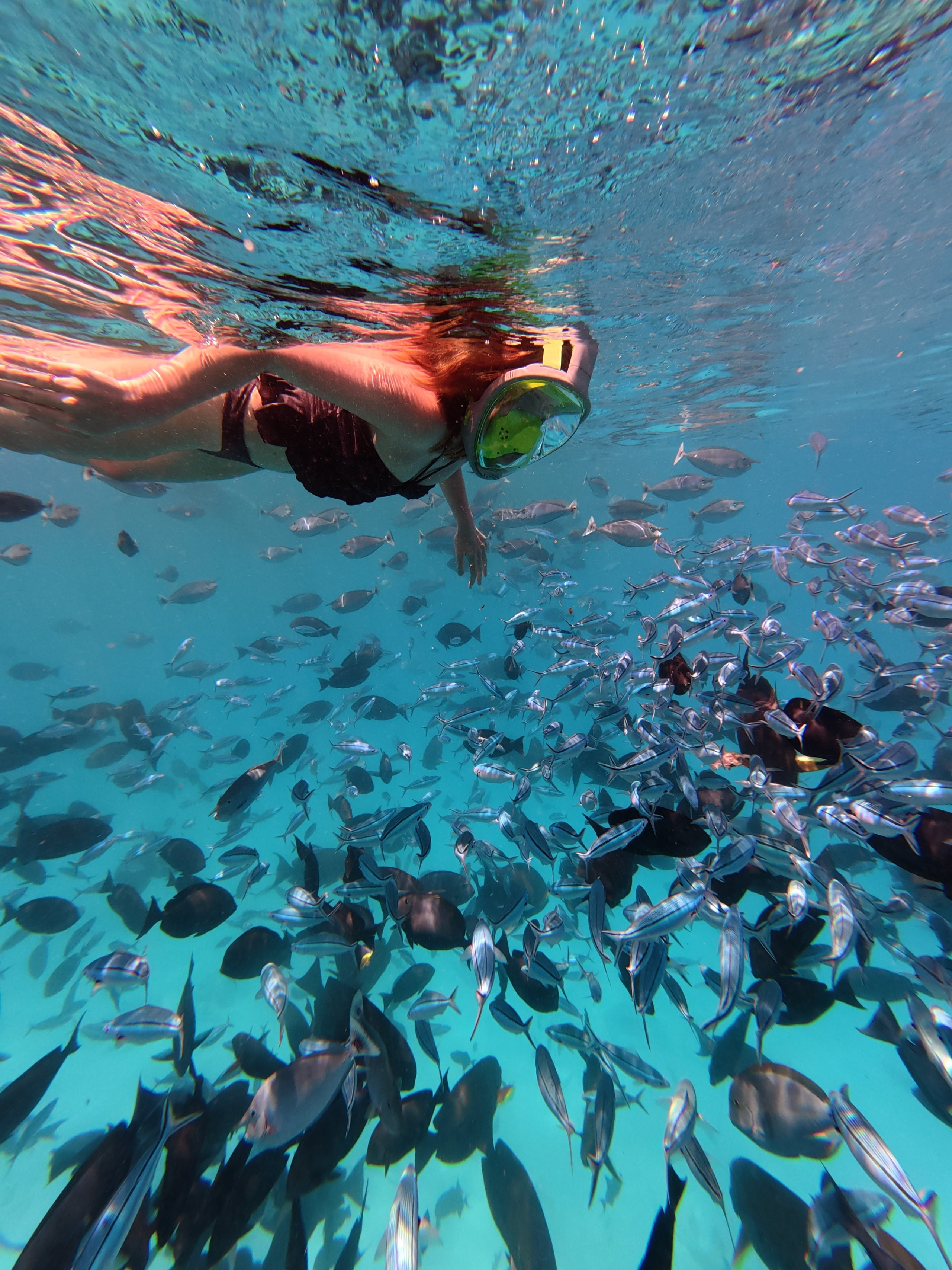 Ретрит на Мальдивы. Бутик-агентство эстетичных туров