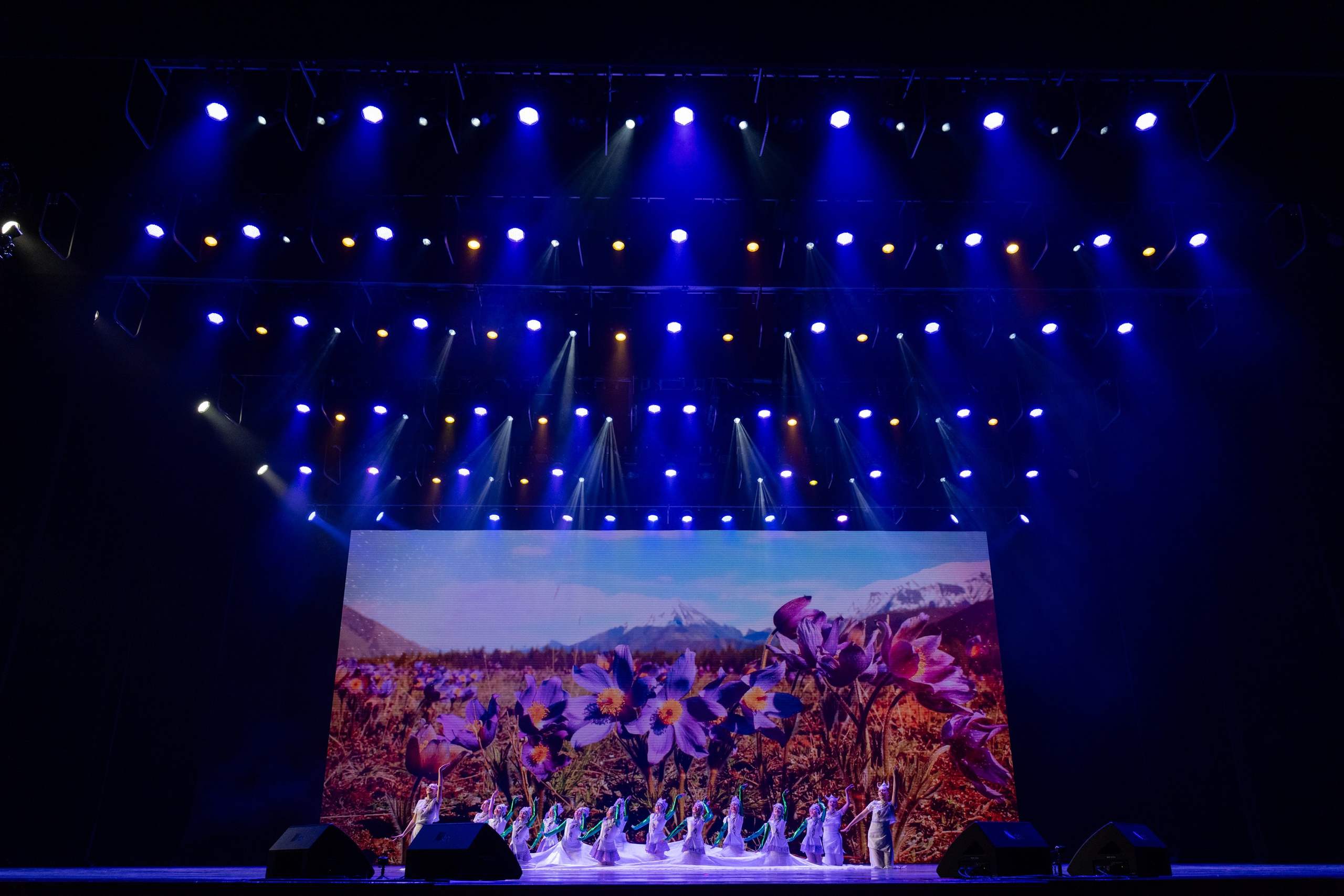 18 мая, г. Москва, Кремль, Концерт. Золотое яблочко