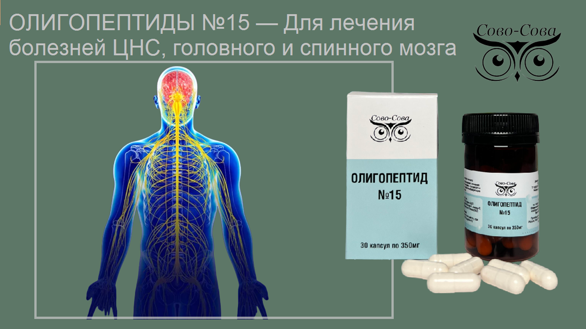 Олигопептид № 15    Для лечения болезней ЦНС, головного и спинного мозга