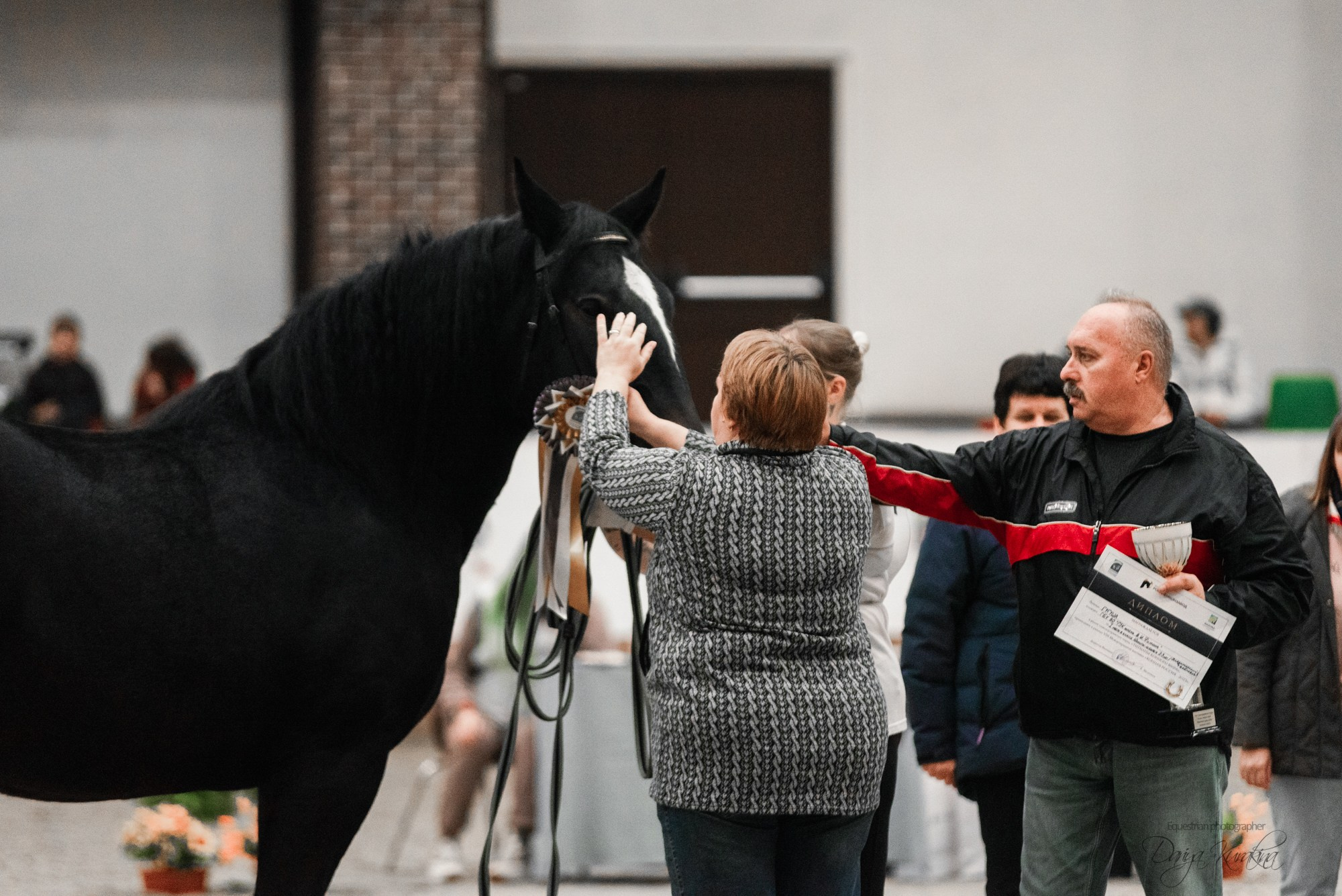 8-я международная выставка Конная Россия. Конный фотограф Куракина Дарья • Фотосессии с лошадьми