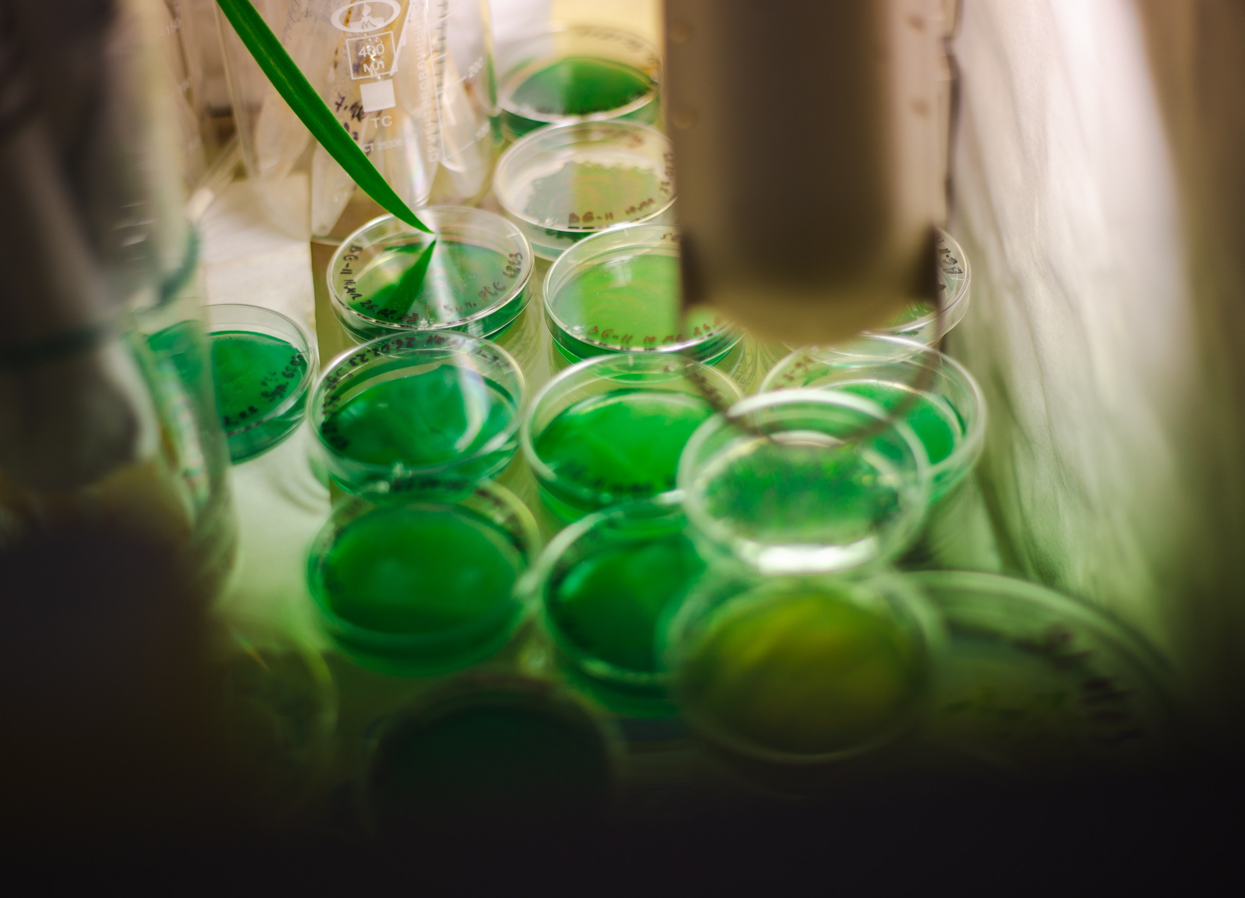 Репортаж Наука. Фотограф в Ярославле Ольга Пыненкова