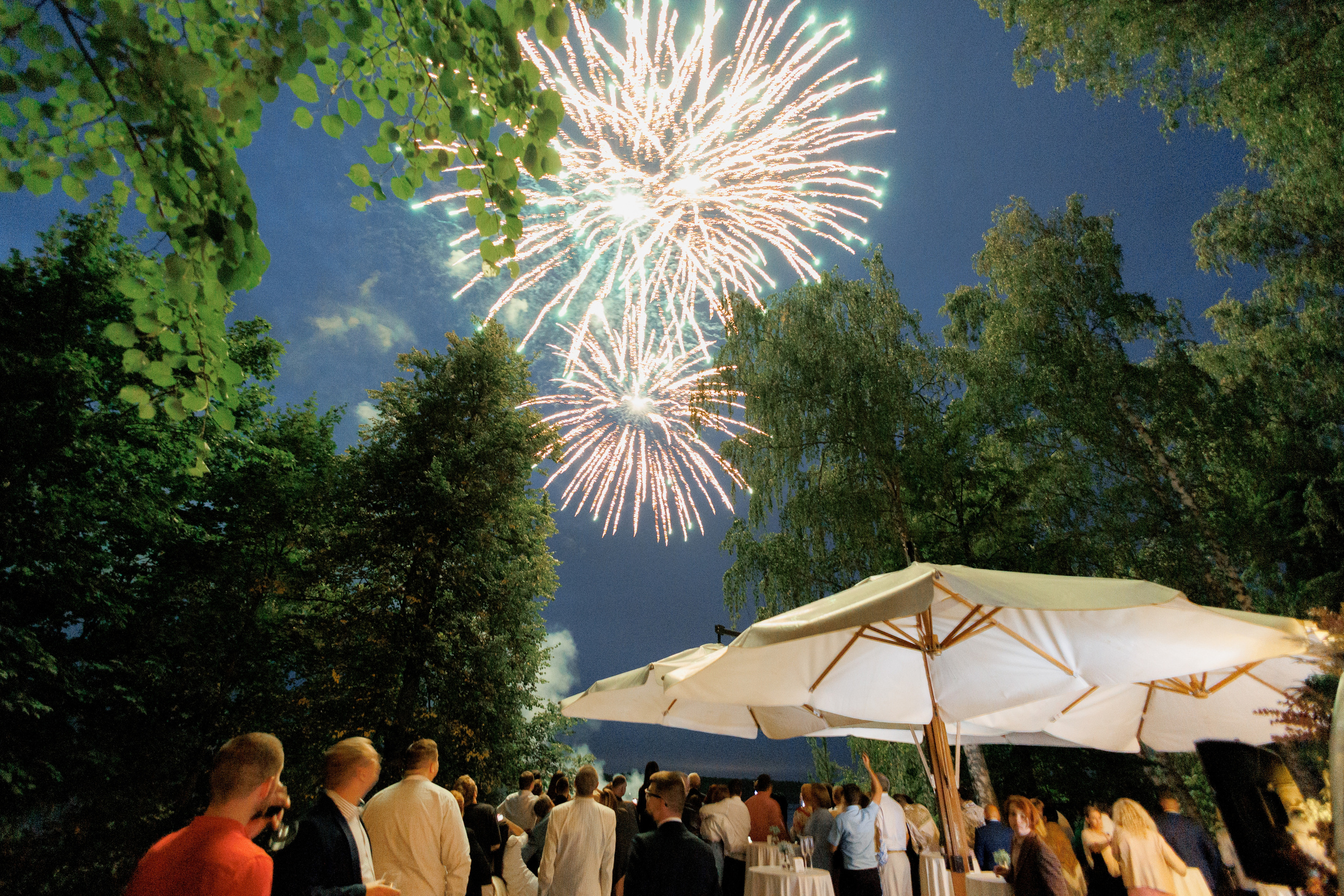 Василий и Анна