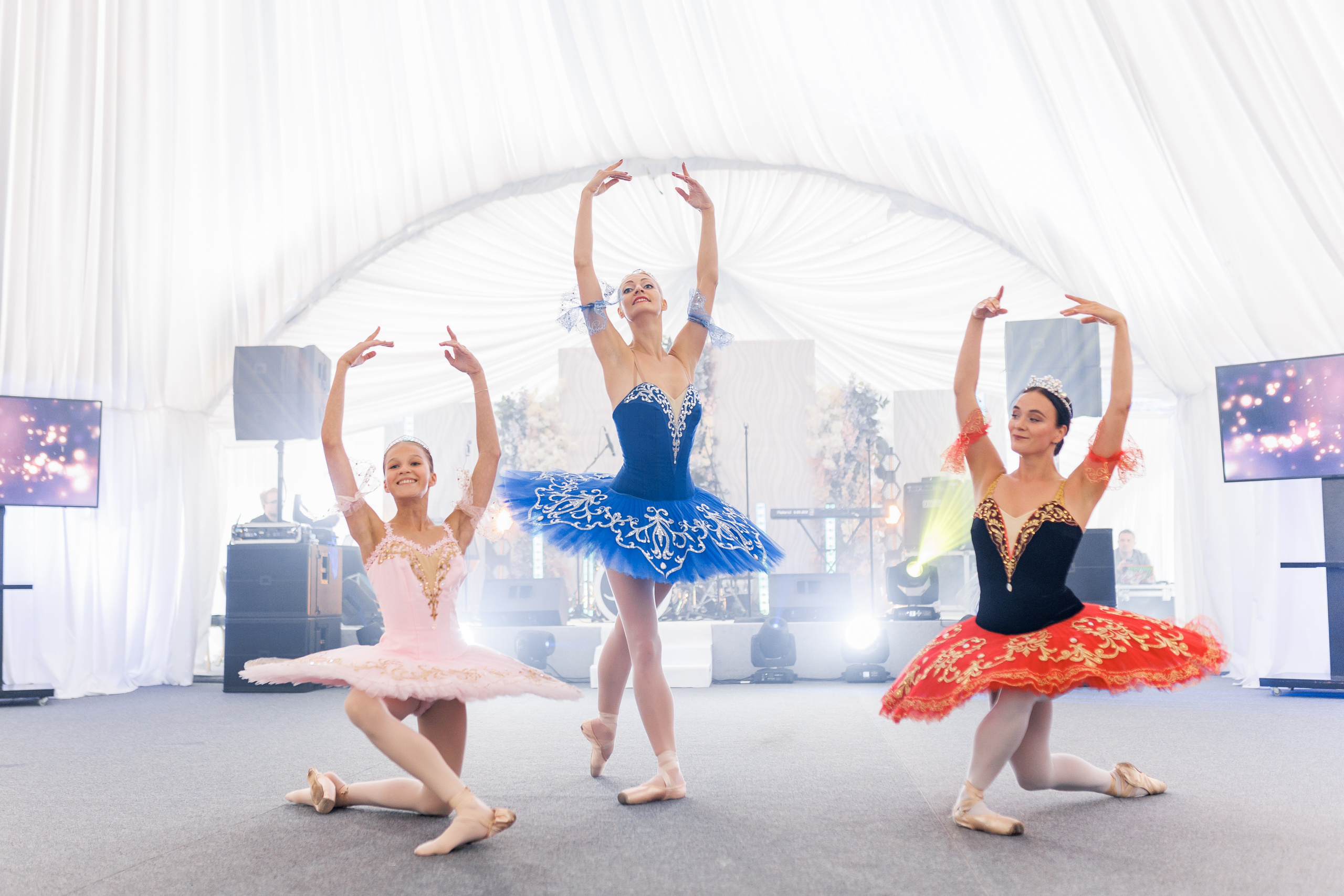 Василий и Анна