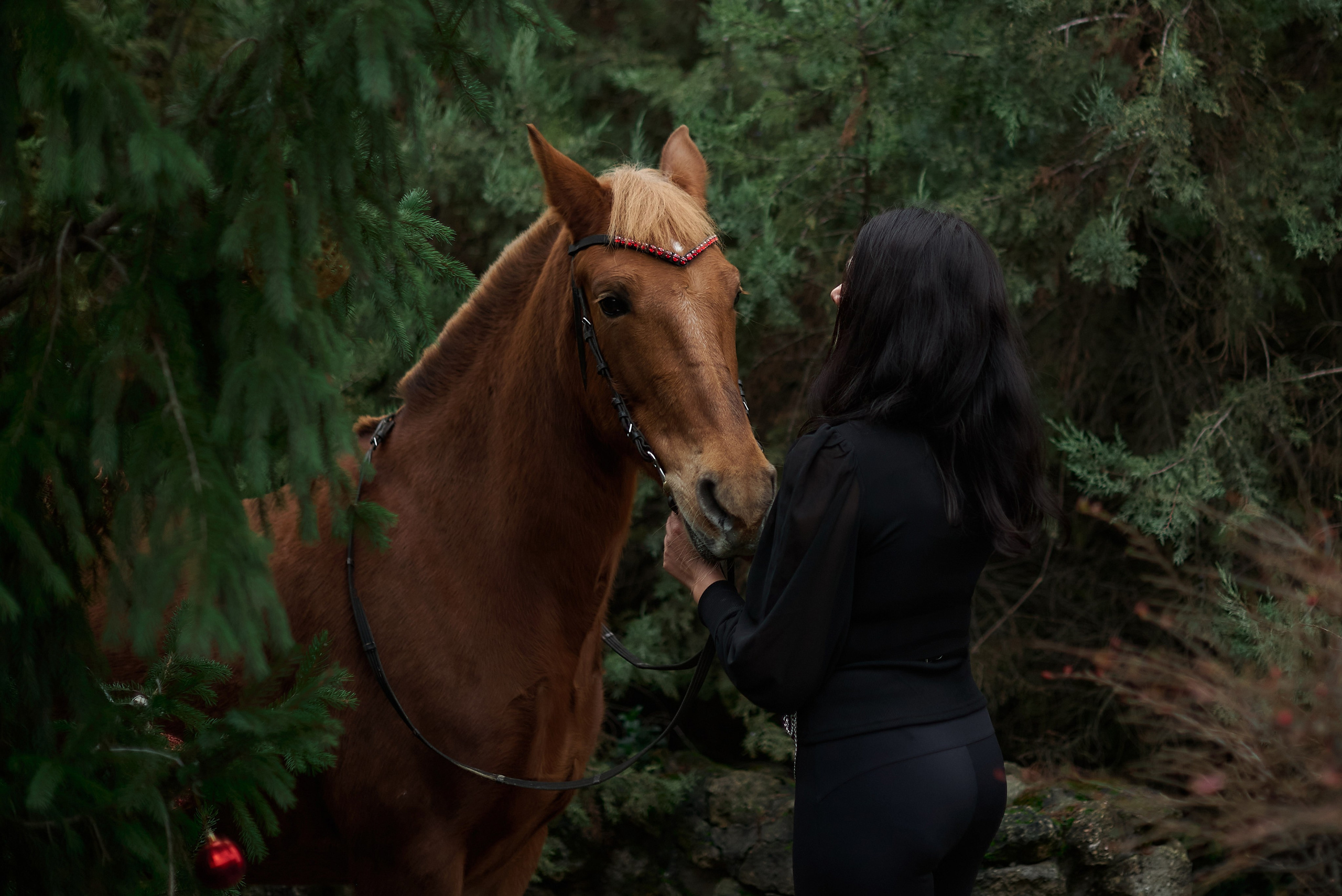 Диана, Гром и Мандаринка. Фотограф в Севастополе