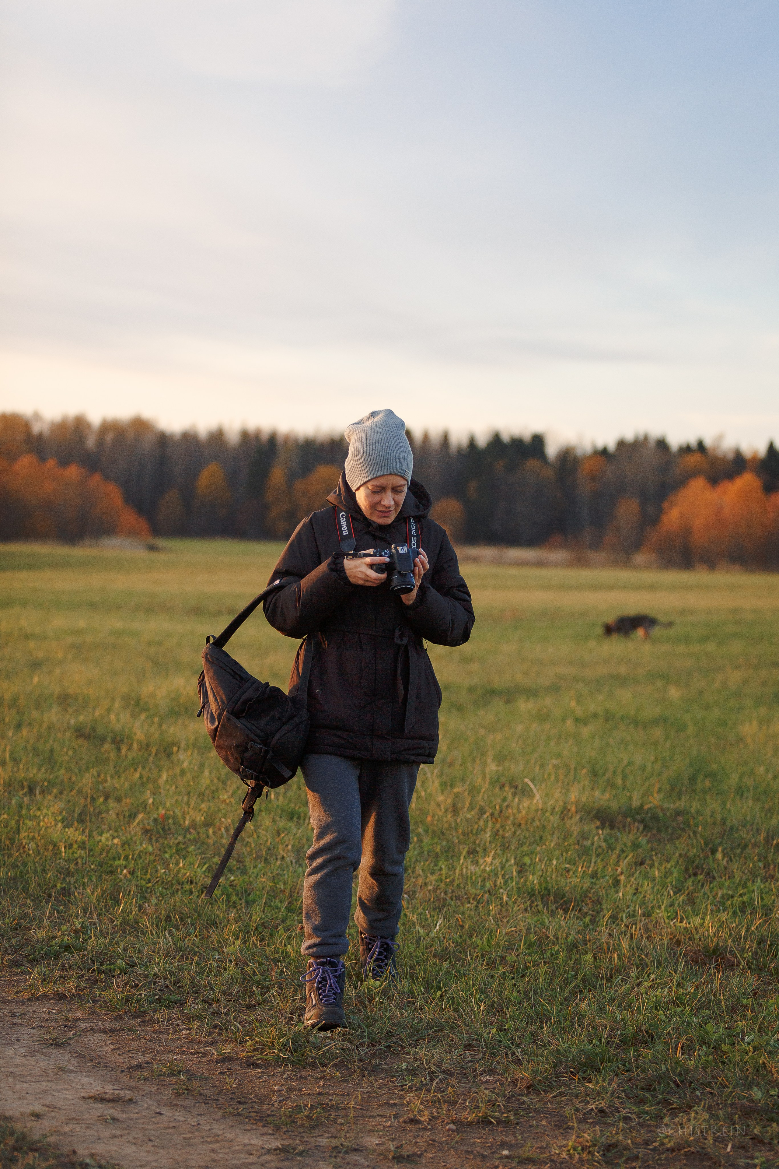 Октябрьский закат в полях. Алина и Лео. Фотограф-анималист Наталия Чистюхина в г. Сосновый Бор и ЛО