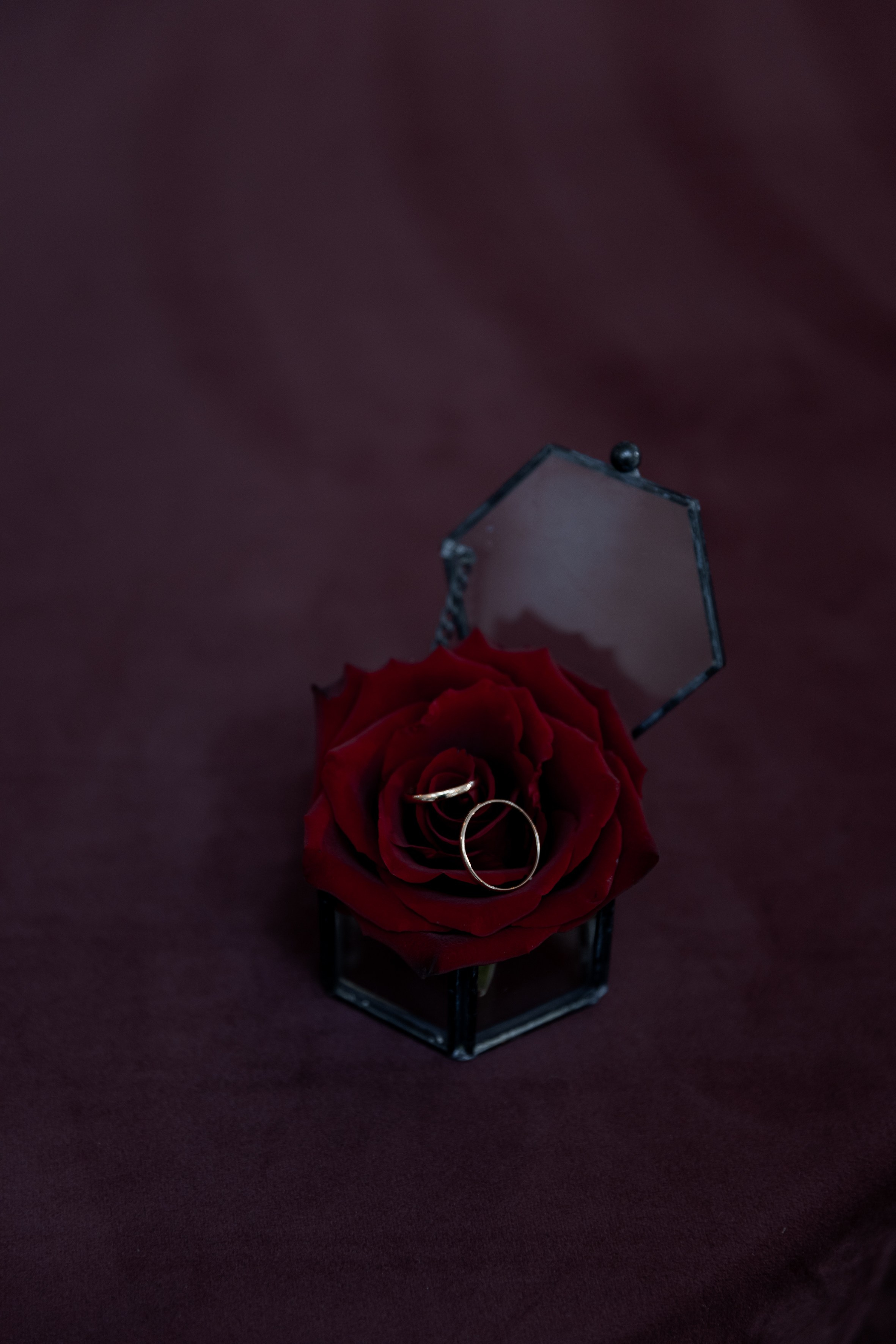 Евгений и Софья. Свадебный фотограф Татьяна Аберле свадебный видеограф Роман Аберле Калининград