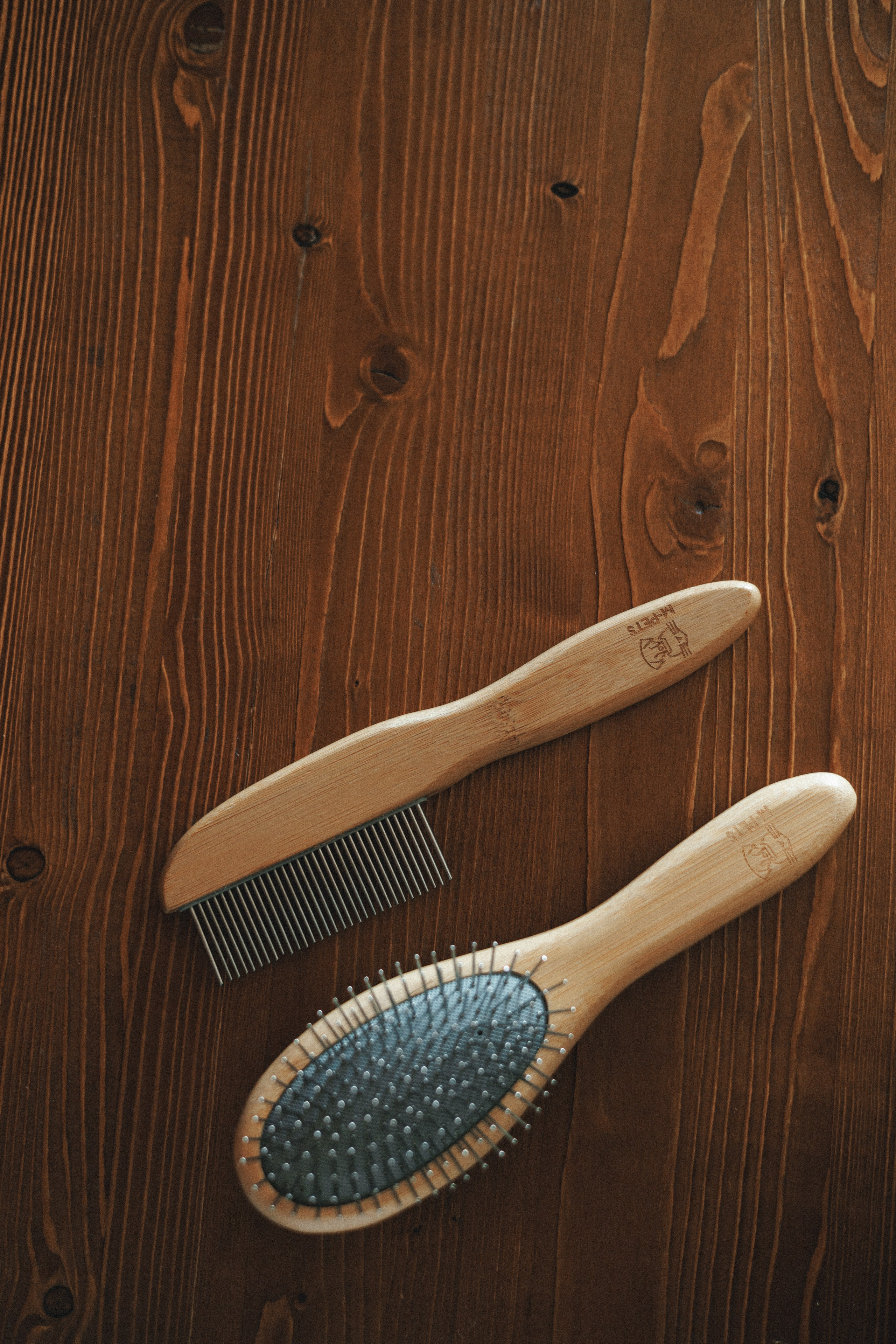 M-Pets. Фотограф анималист Осипчикова Мария