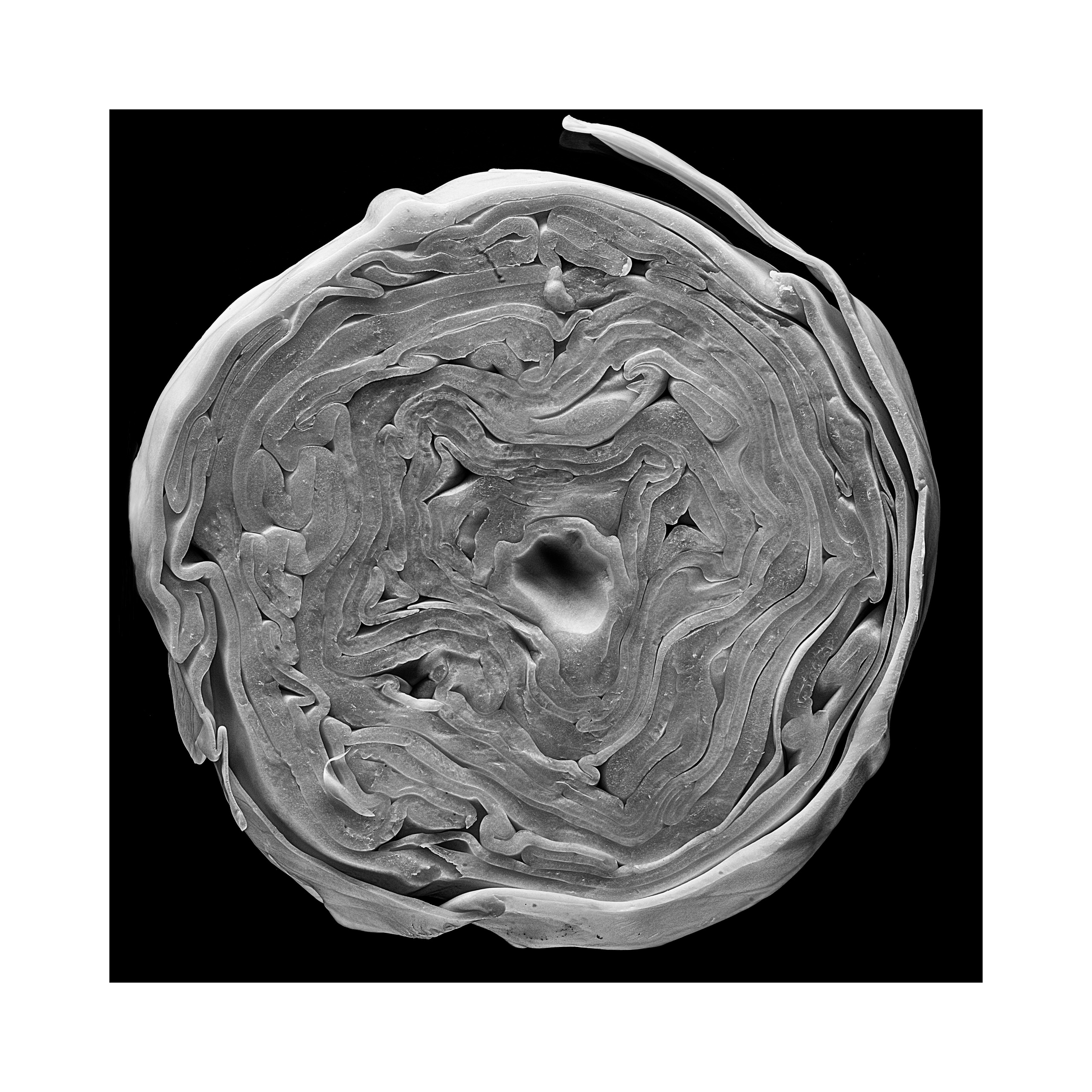 Фотопроект «Круги жизни». Портретный фотограф в Челябинске Катерина Руди