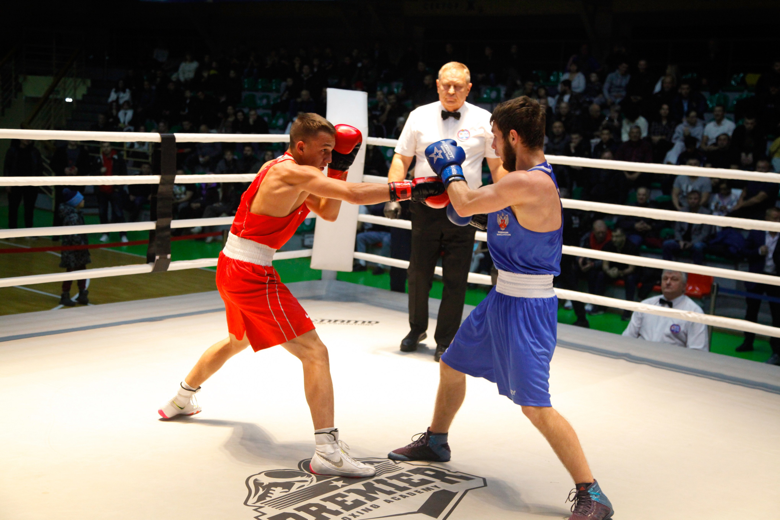 БОКС. Фото. Спортивный фотограф, трансляция, звук и свет в Новосибирске