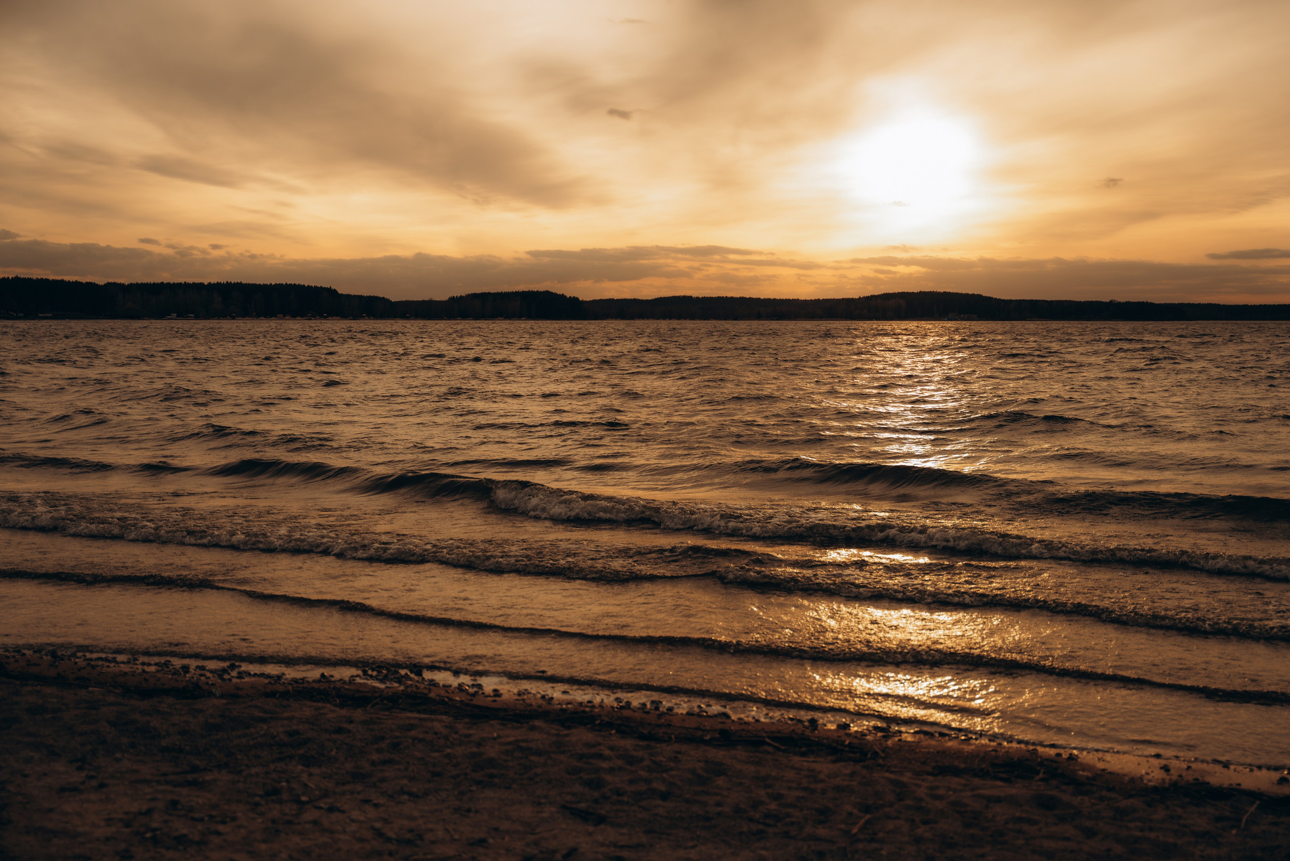 Вероника + Никита. Фотограф Мария Миллс | Минск