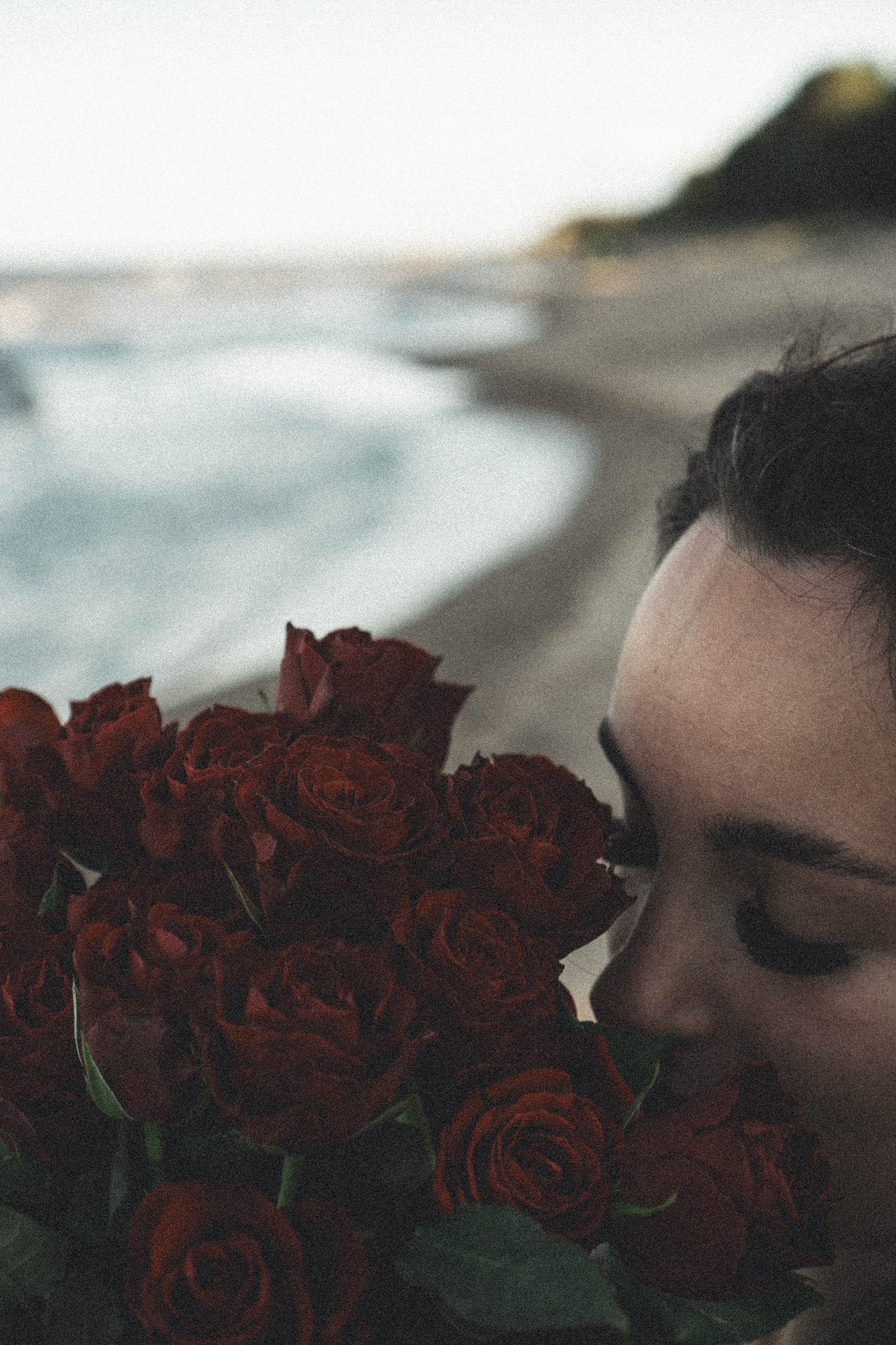 Розы. Профессиональный фотограф, Санкт-Петербург — Виктория Богомолова