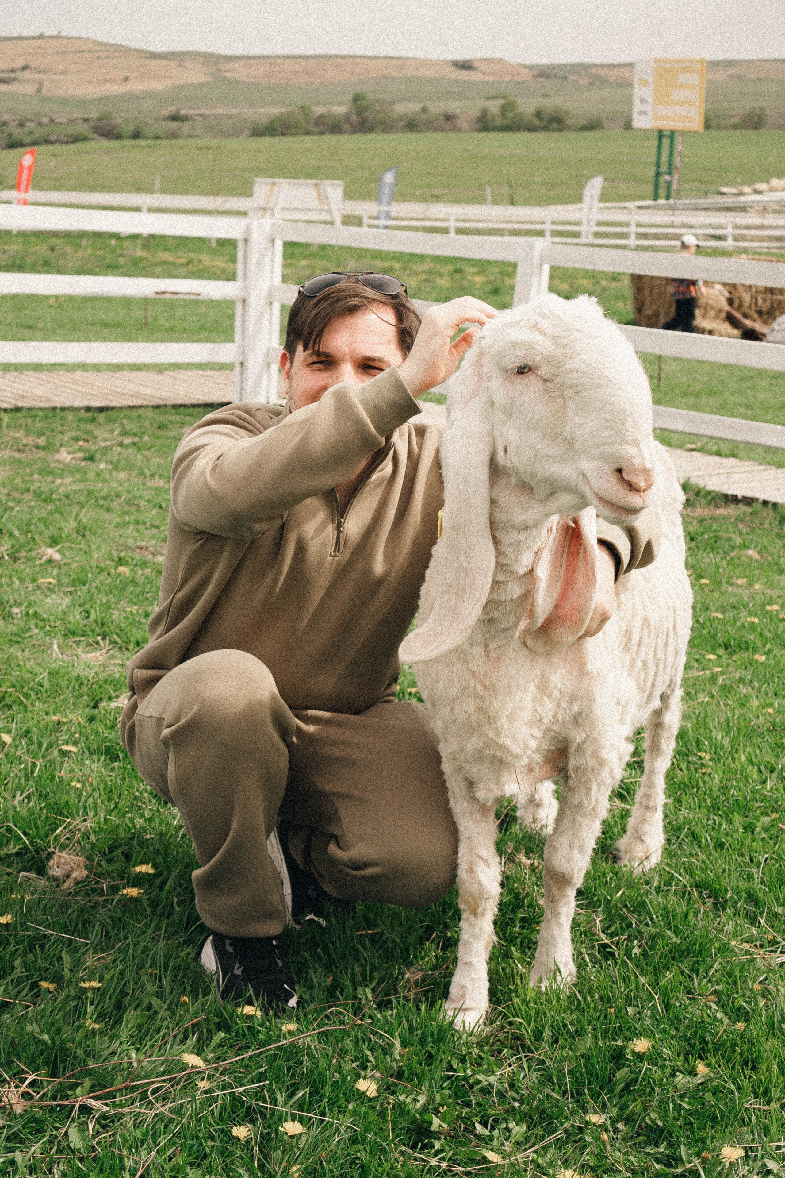 Ферма Альпак. Профессиональный фотограф, Санкт-Петербург — Виктория Богомолова