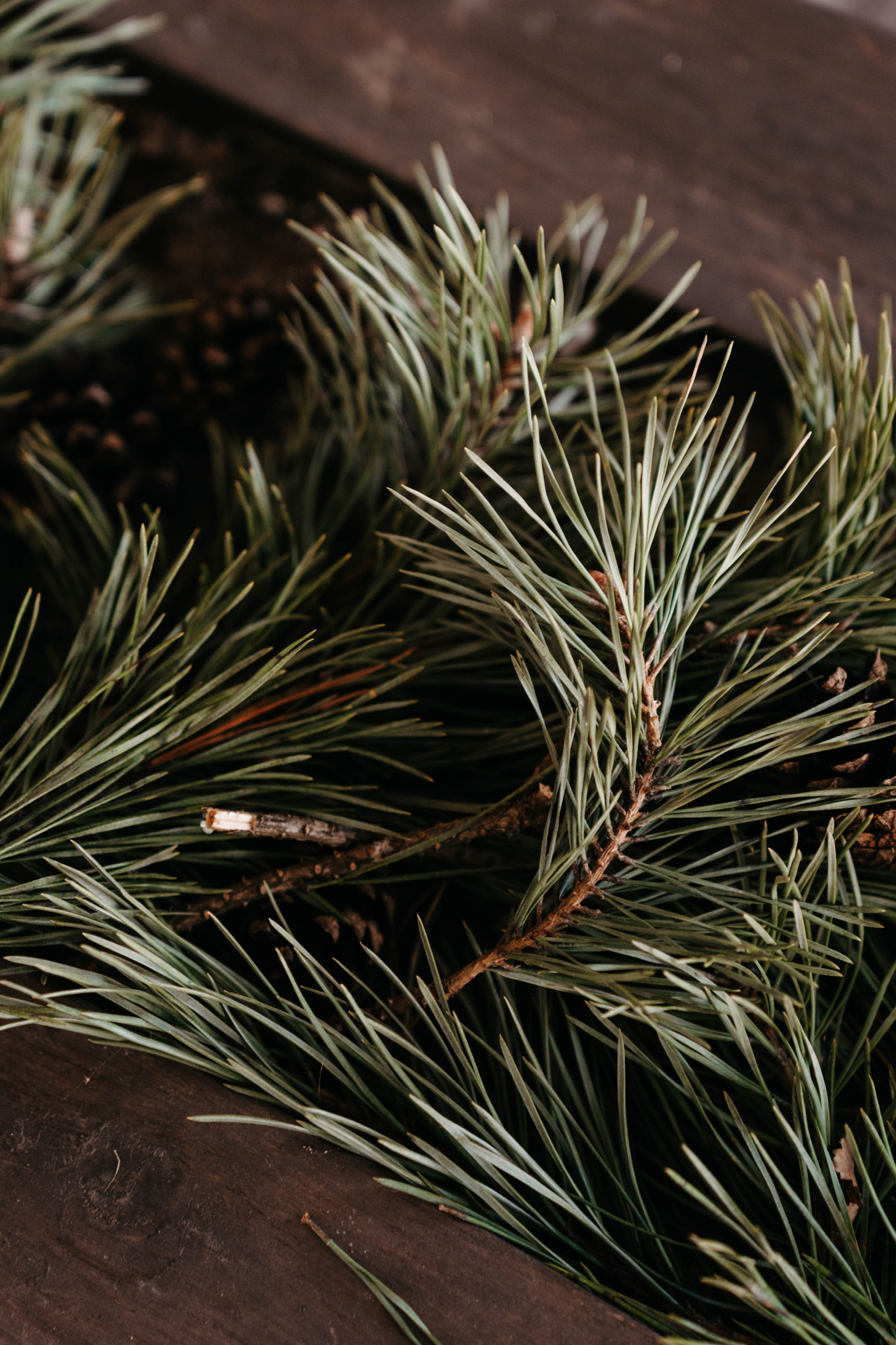 Междуречье|Экоотель. Фотограф Абакумова Анастасия