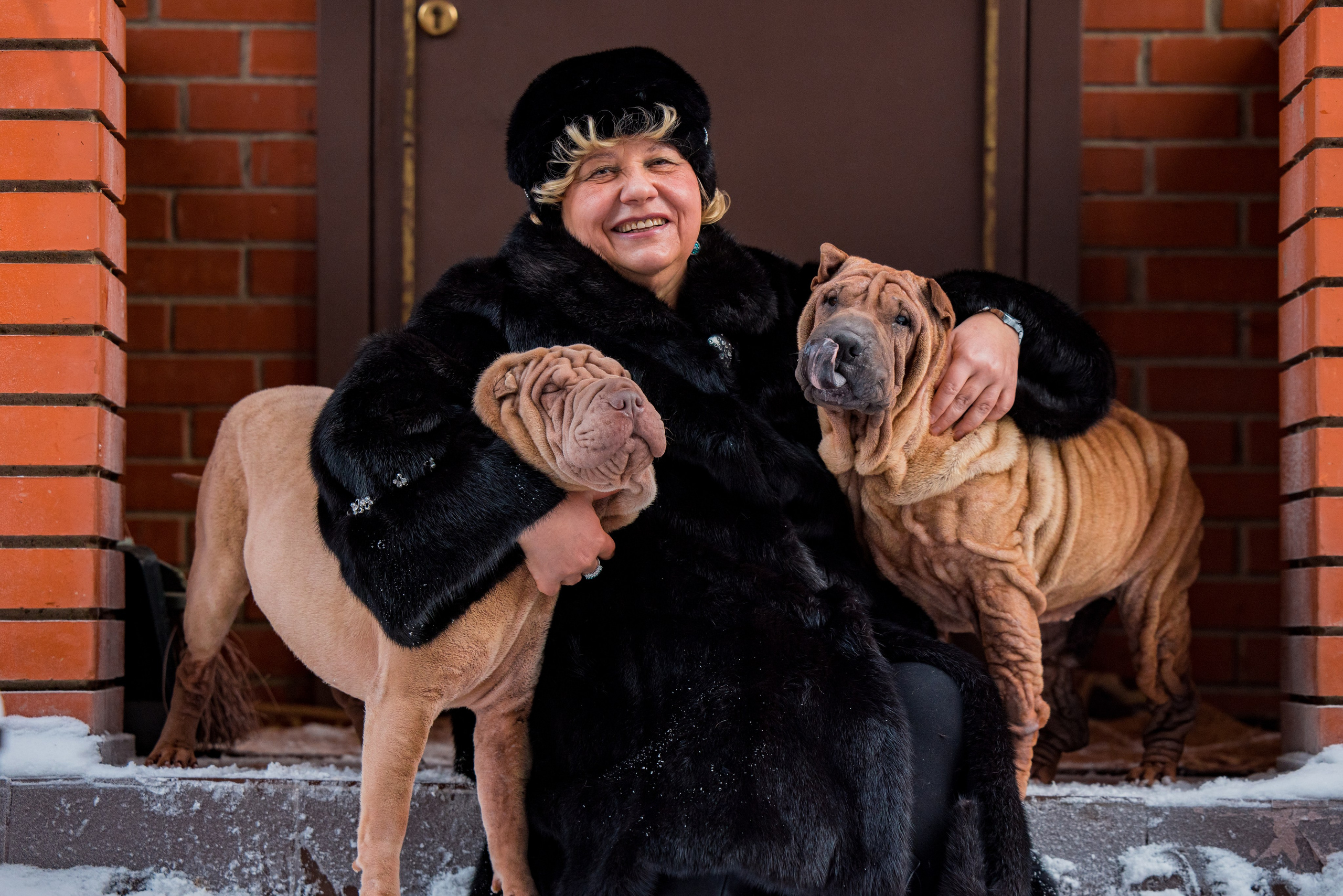 В гостях у шарпеев 16.01.2024. Фотограф-анималист Юлия Германика