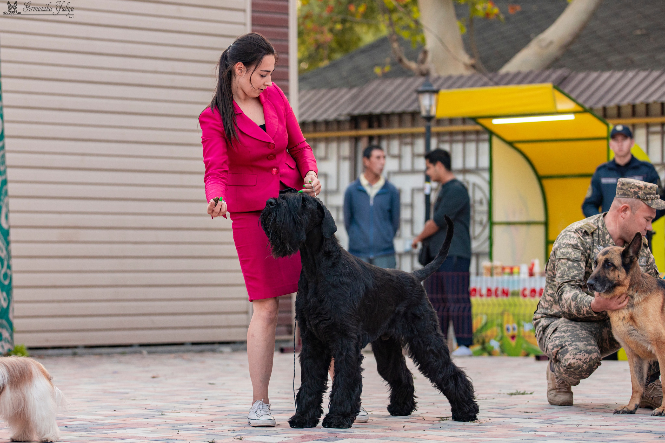 Ташкент 6-8.10.2023 + Алматы 14-15.10.2023. Фотограф-анималист Юлия Германика