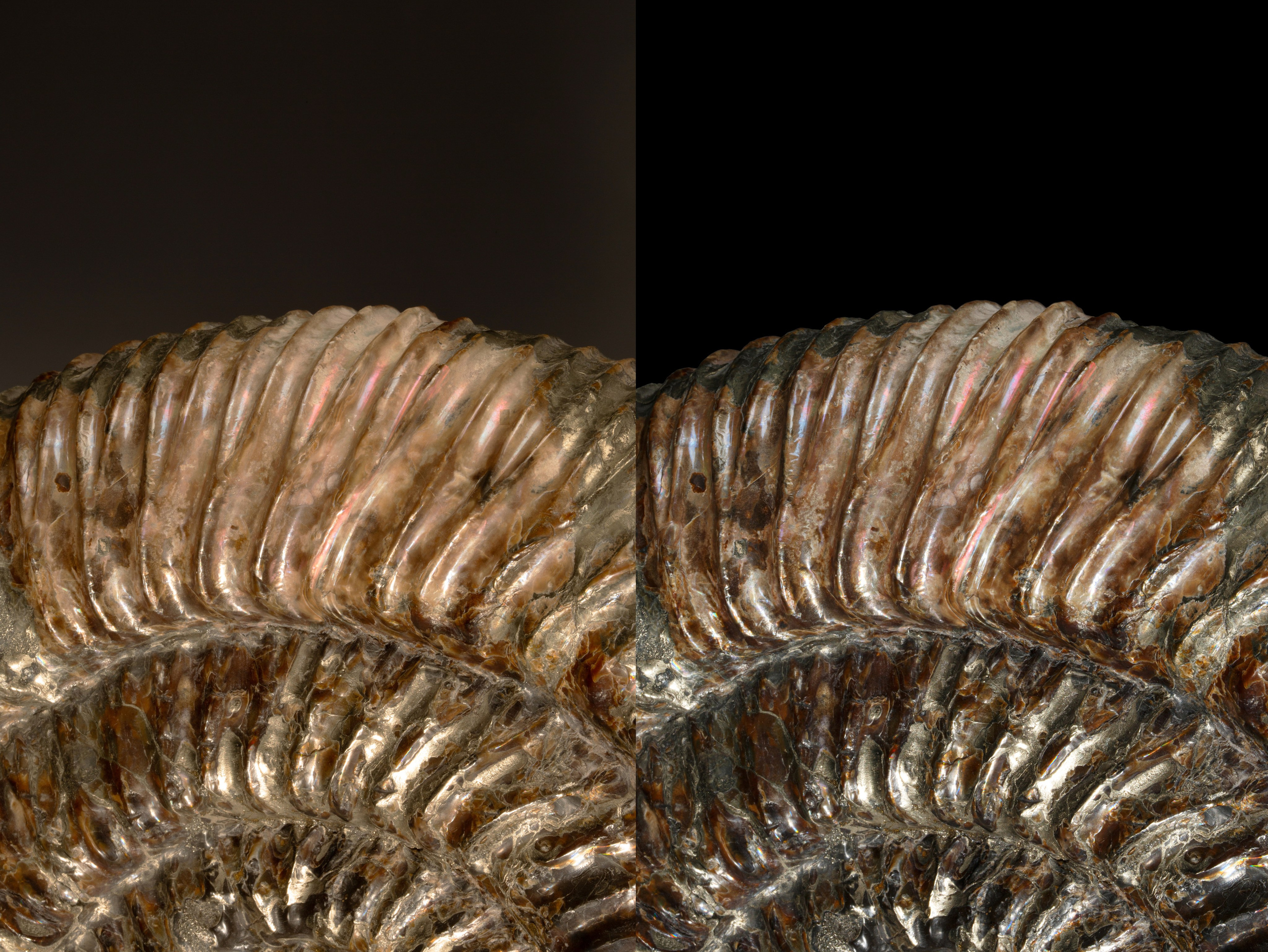 Предметы коллекционирования