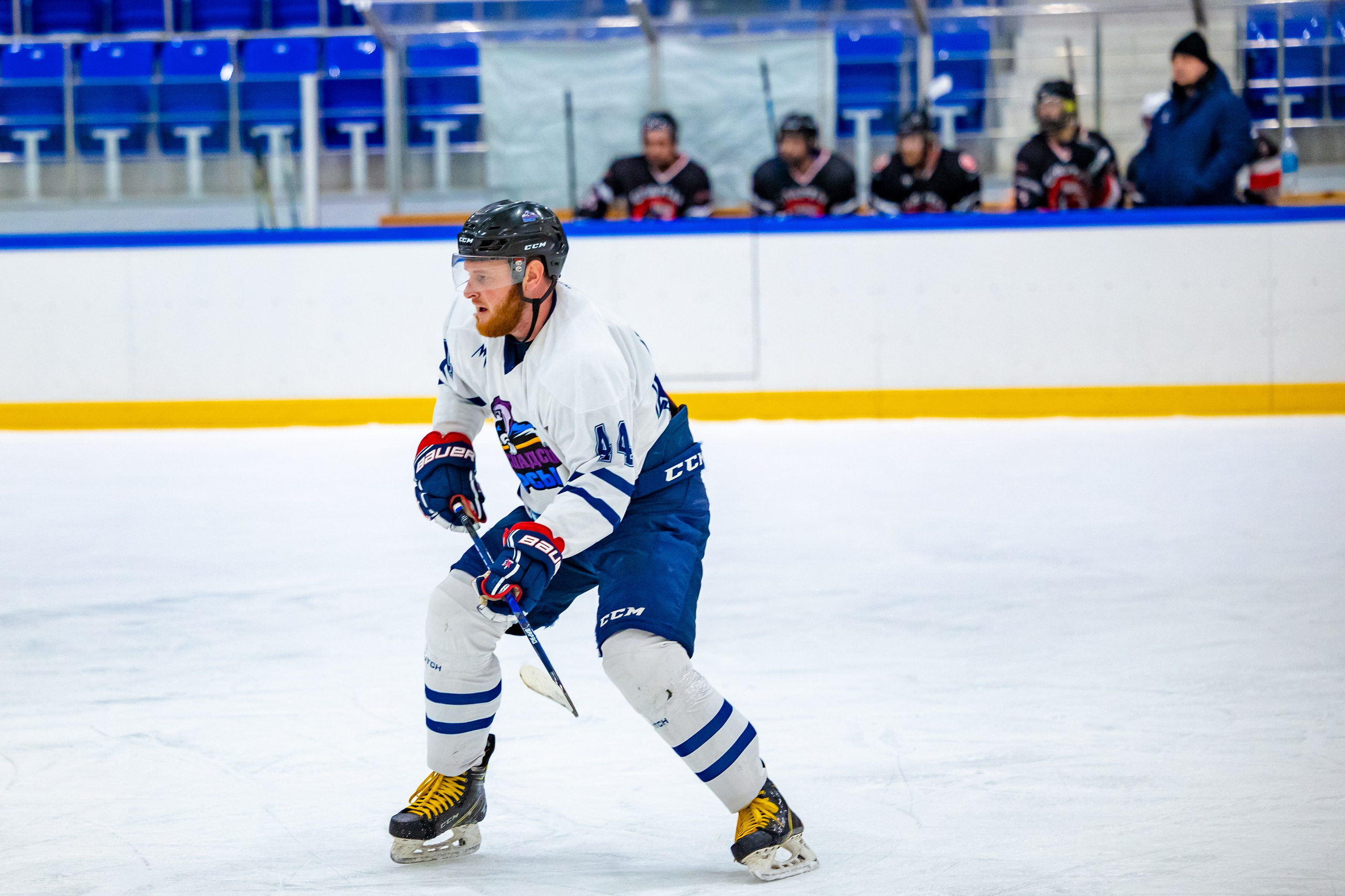 ХК Распадские Барсы. Фотограф Князев Сергей