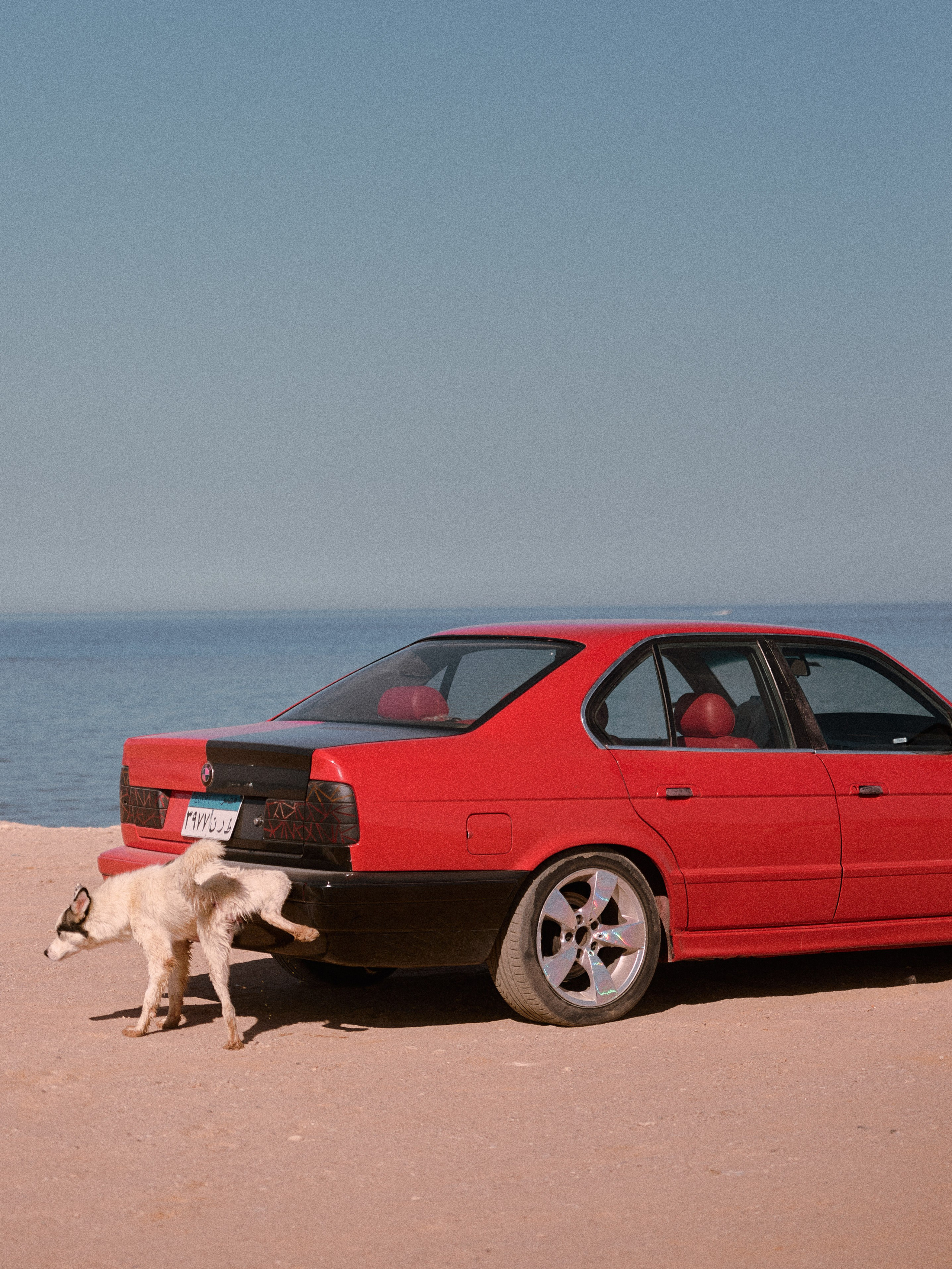 Диптих. Jorgis — фотограф в Хургаде / обучение фотографии