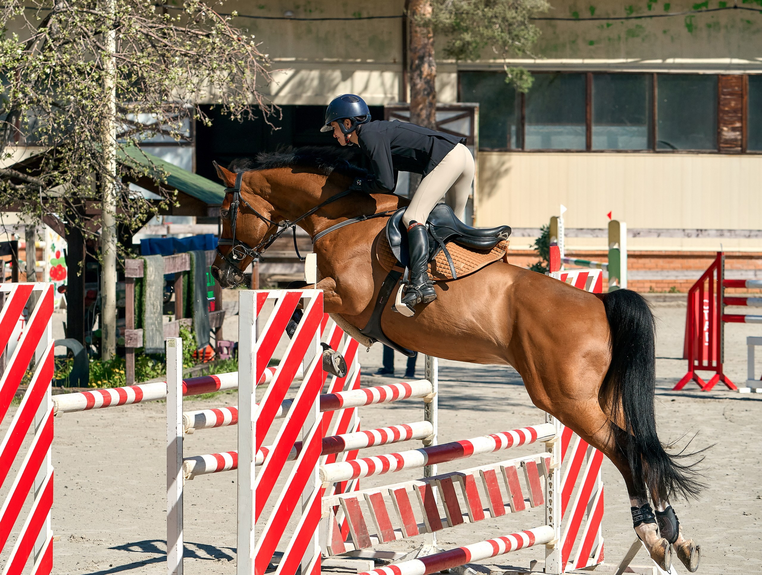 Соревнования на лошадях — галерея NATRIEL