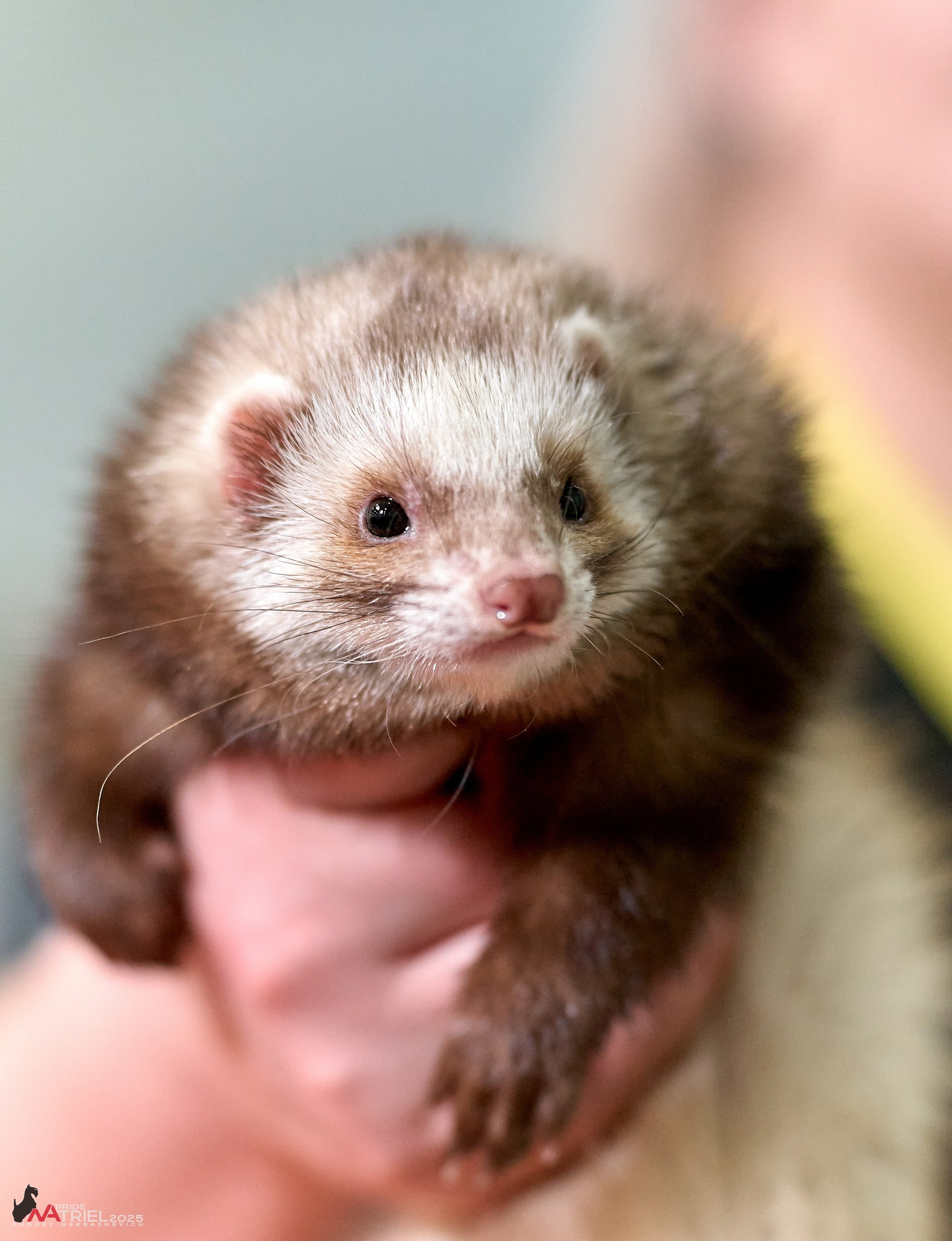 Репортаж с ЗООФЕСТ в Крокусе