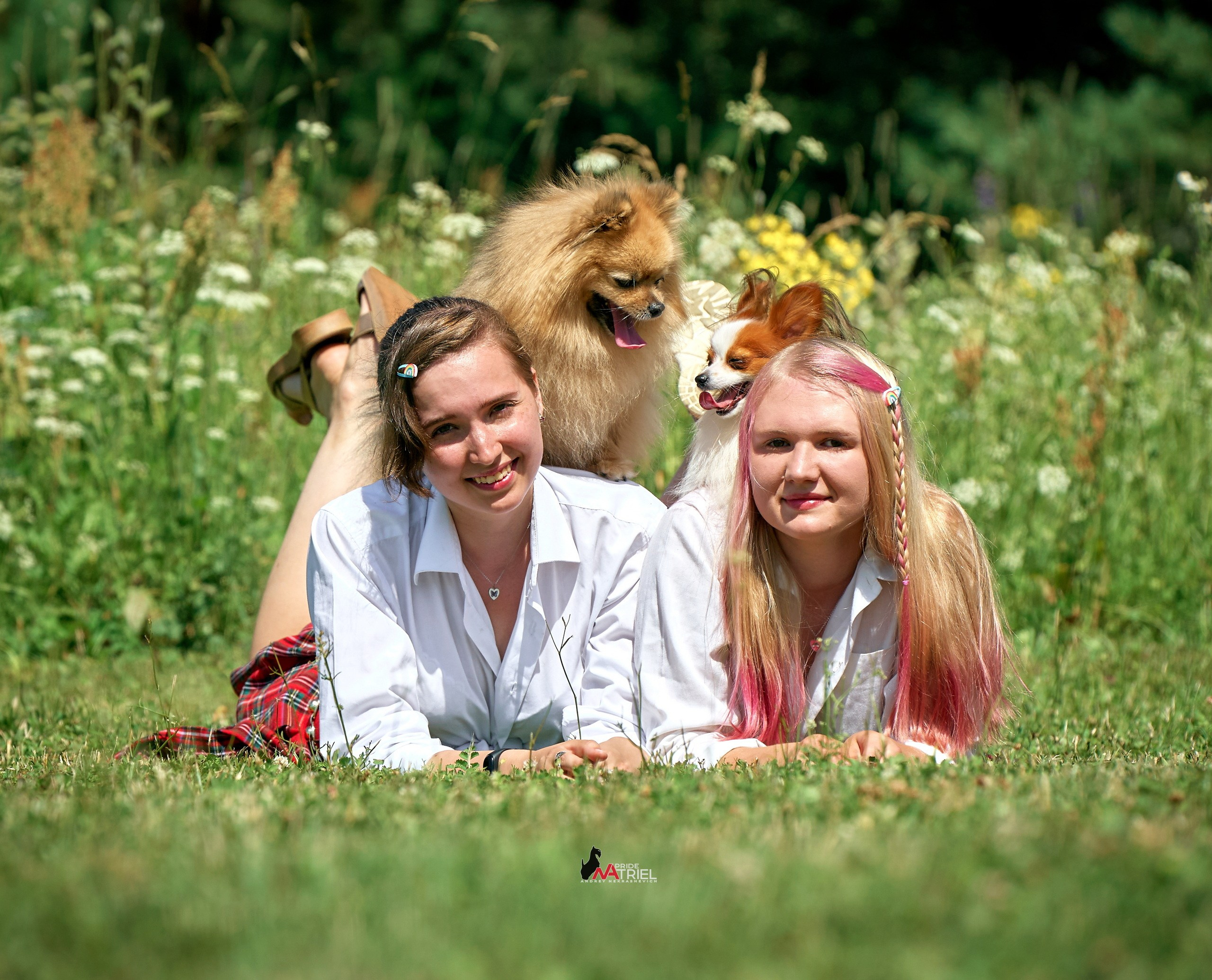Обидиенс и танцы с собаками — галерея NATRIEL