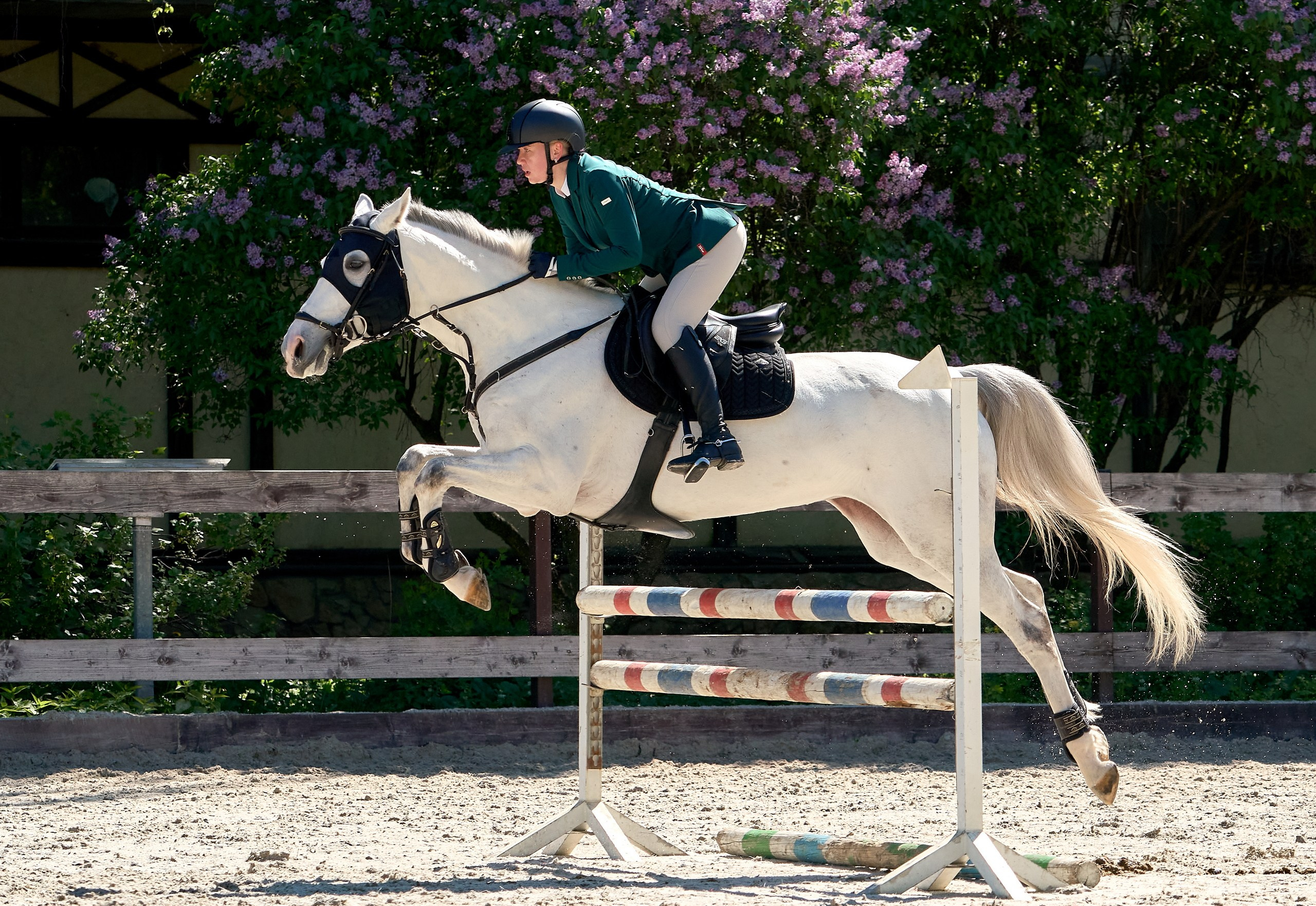 Соревнования на лошадях — галерея NATRIEL