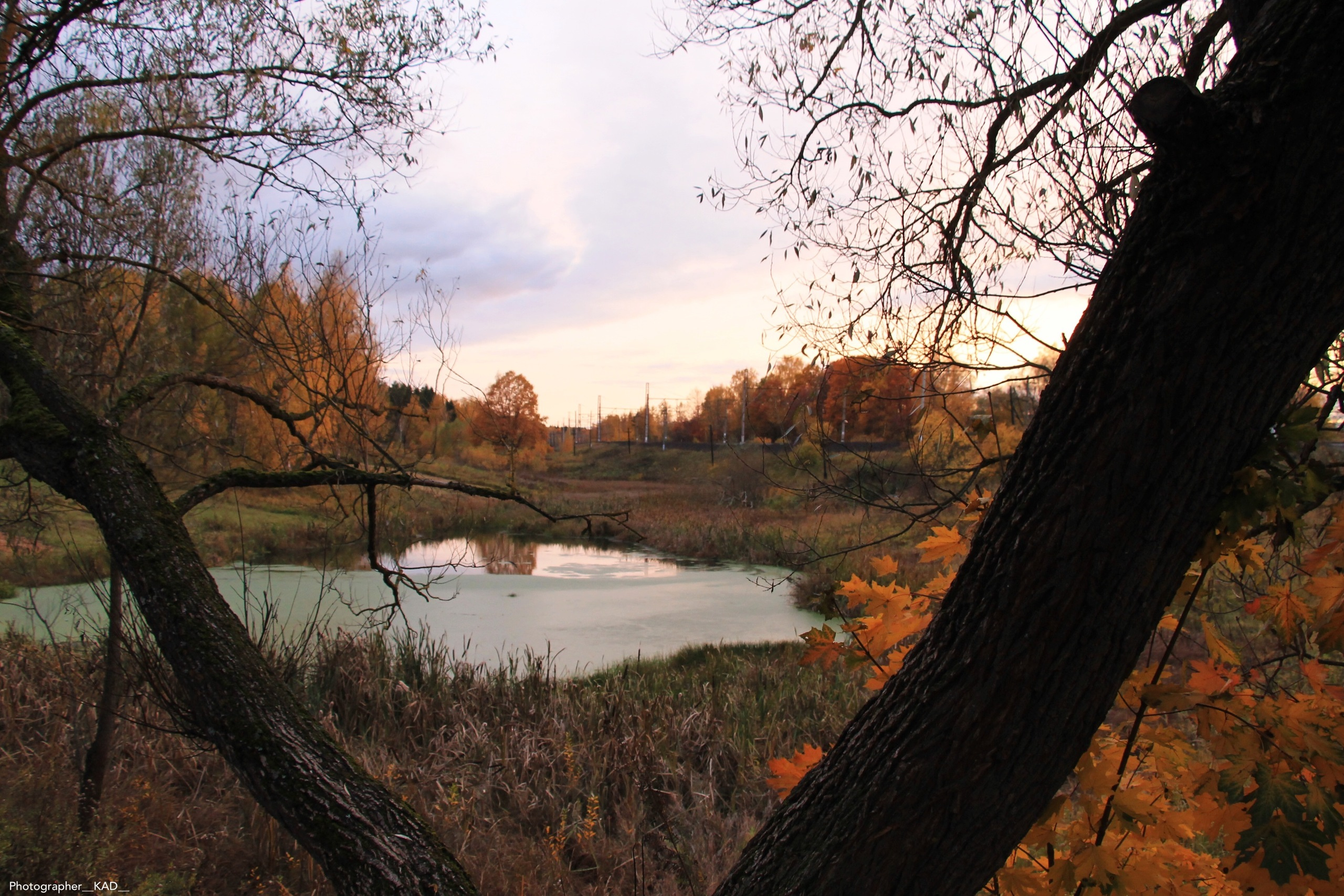 Пейзажи и природа. Photographer K.A.D