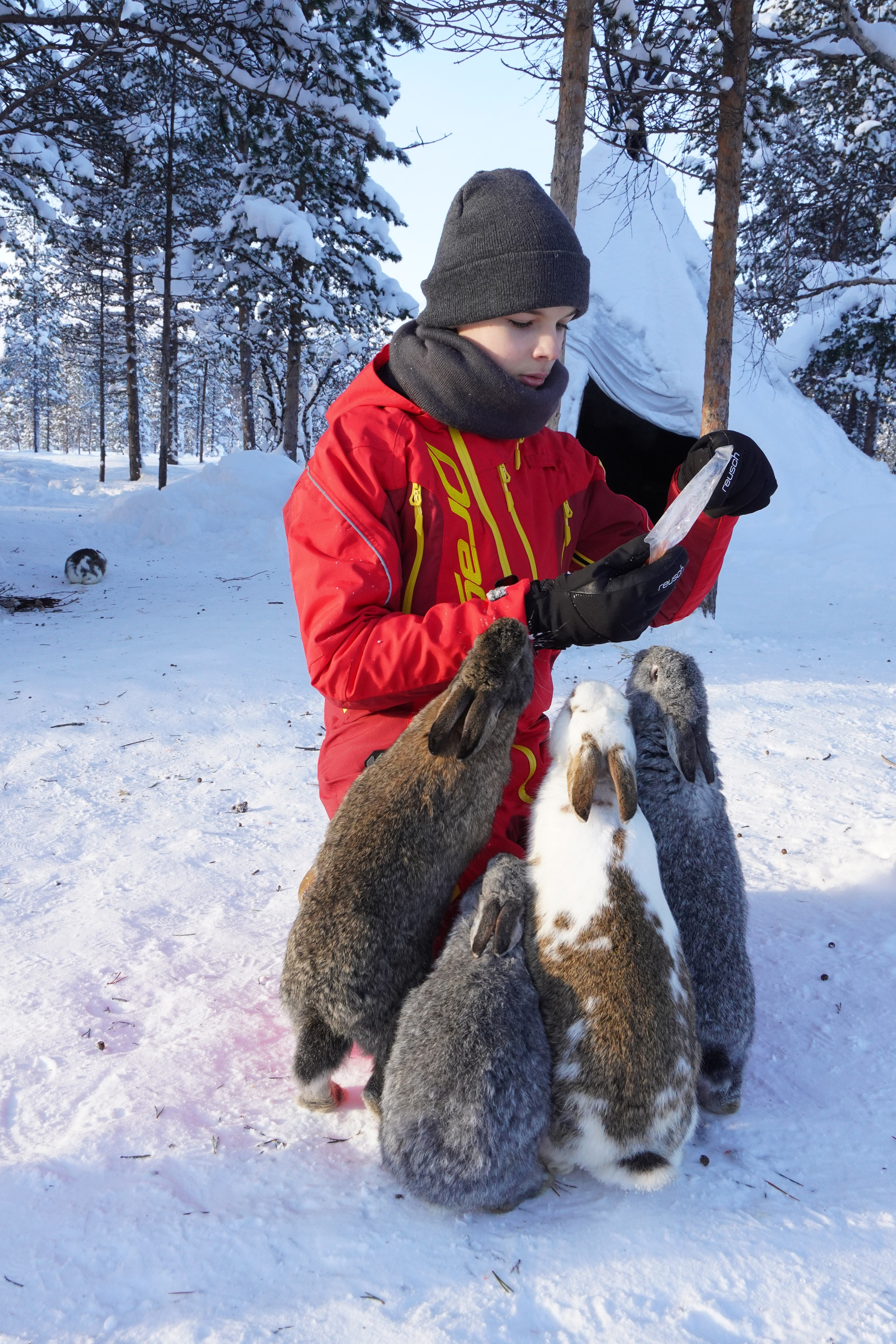 21 02 2021 мурманск северное сияние. Заставка