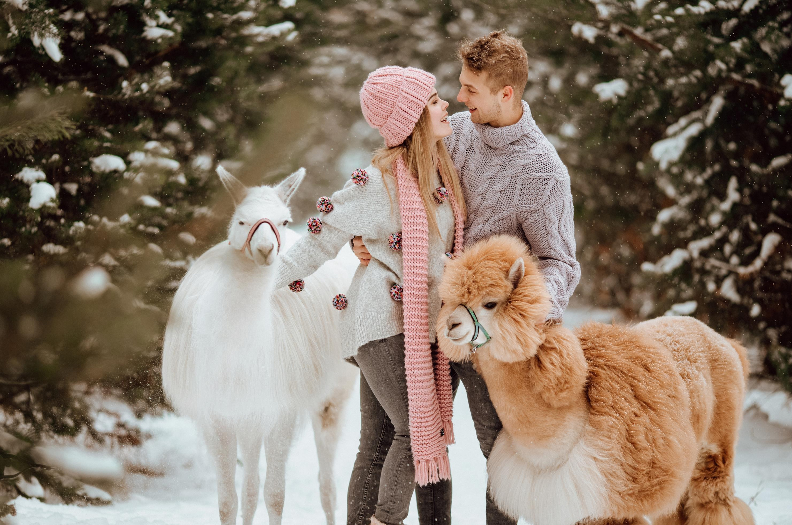 Winter wonderland. Алина Малышева, свадебный и семейный фотограф Москва
