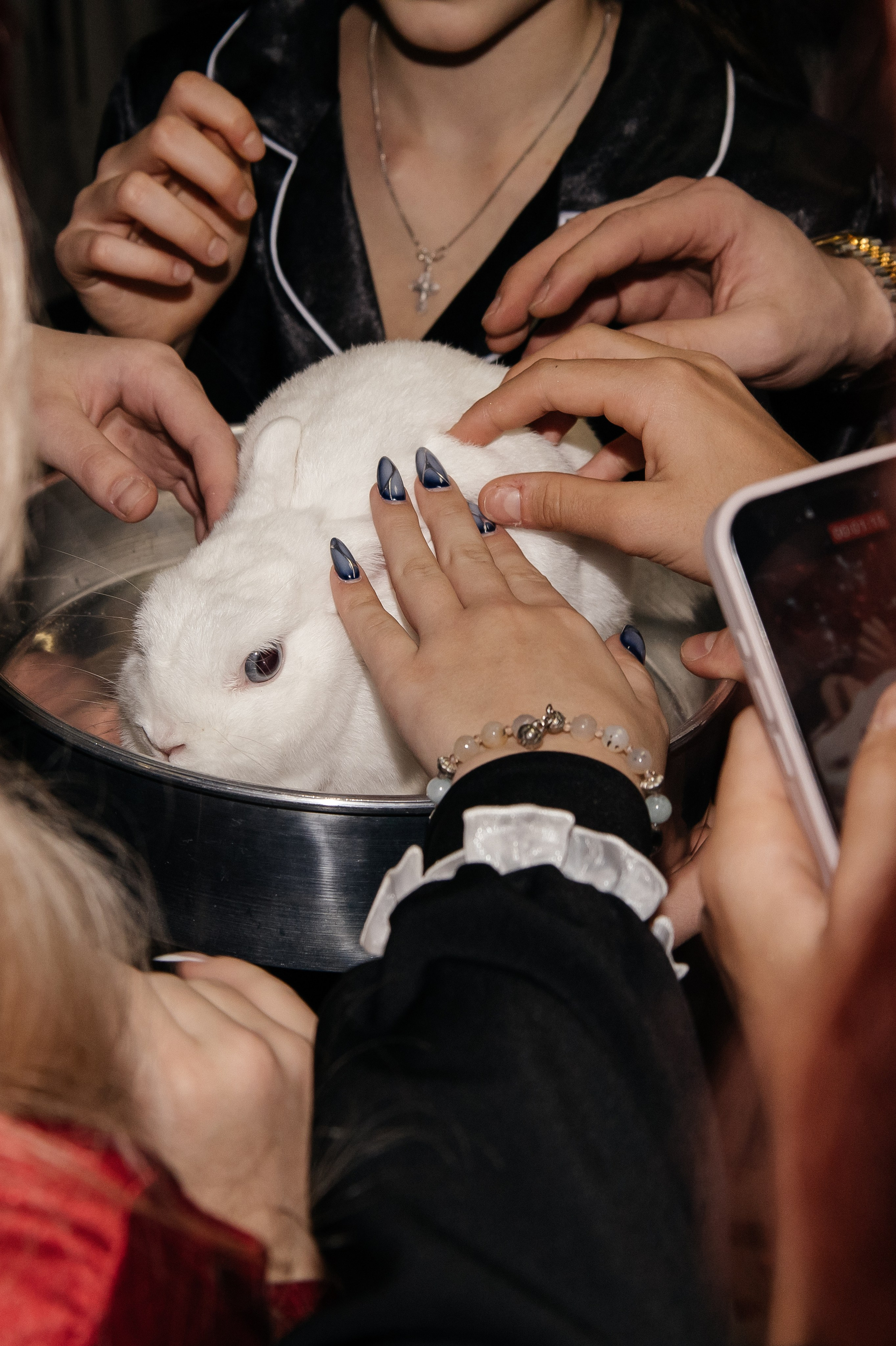 Репортаж дня рождения для Анастасии 15 лет. Семейный фотограф в Москве, Щелково, Фрязино _ Виктория Степанова