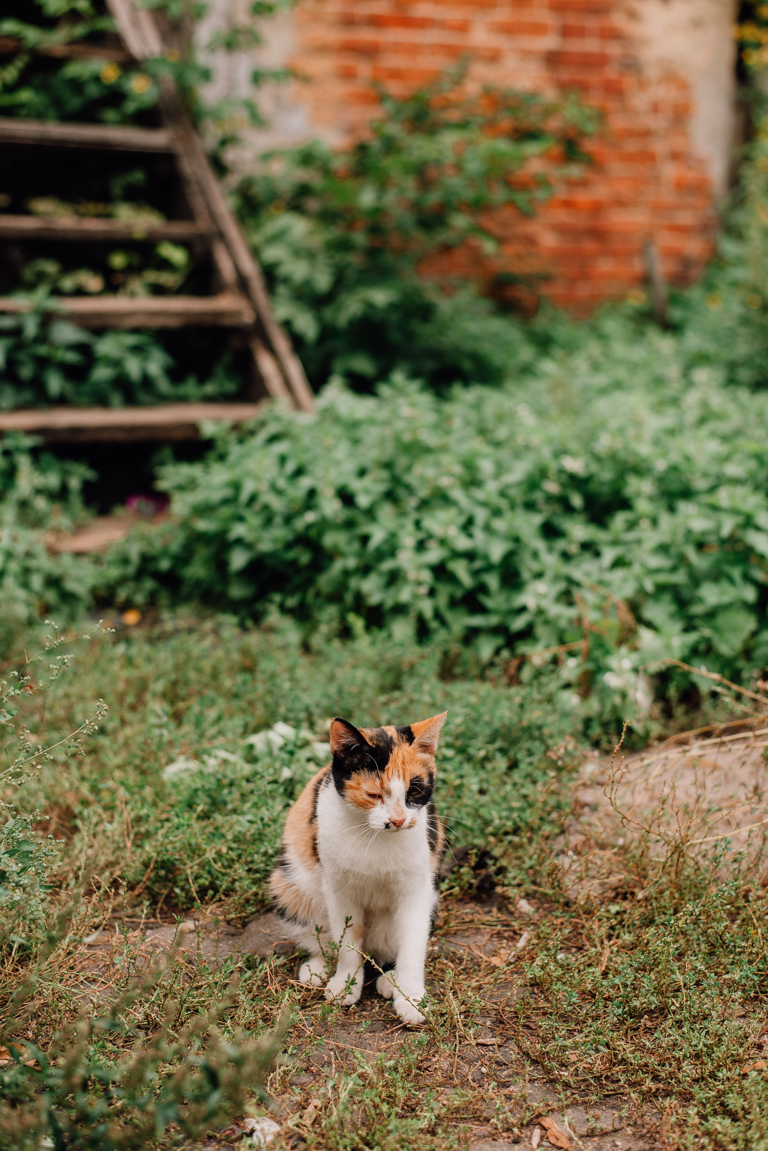 Путешествие в Нижний Новгород — девичник. Семейный и детский фотограф Иваново Ксения Азаренкова