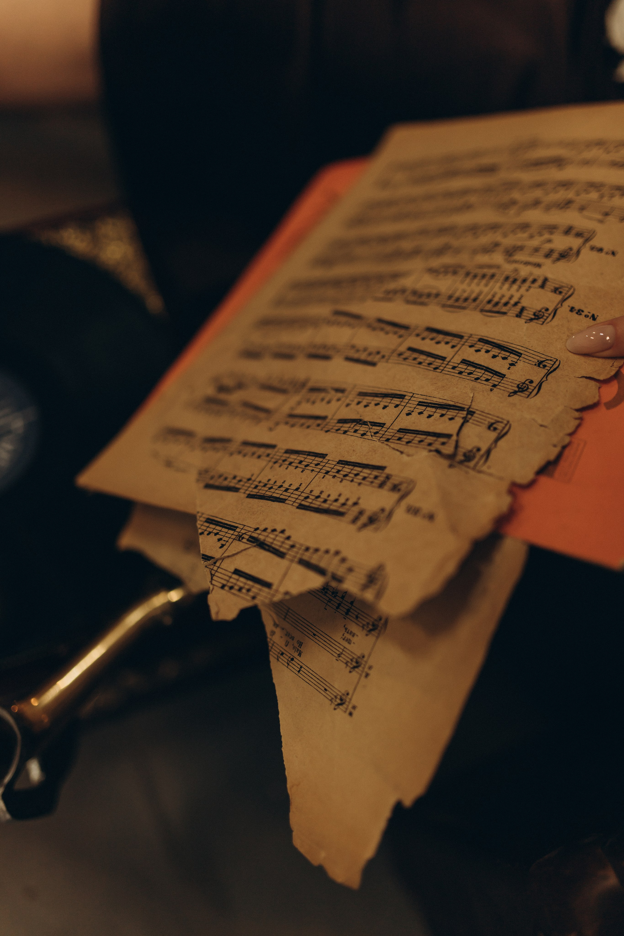 Даша и Витя. Новогодняя история в СПБ. Услуги