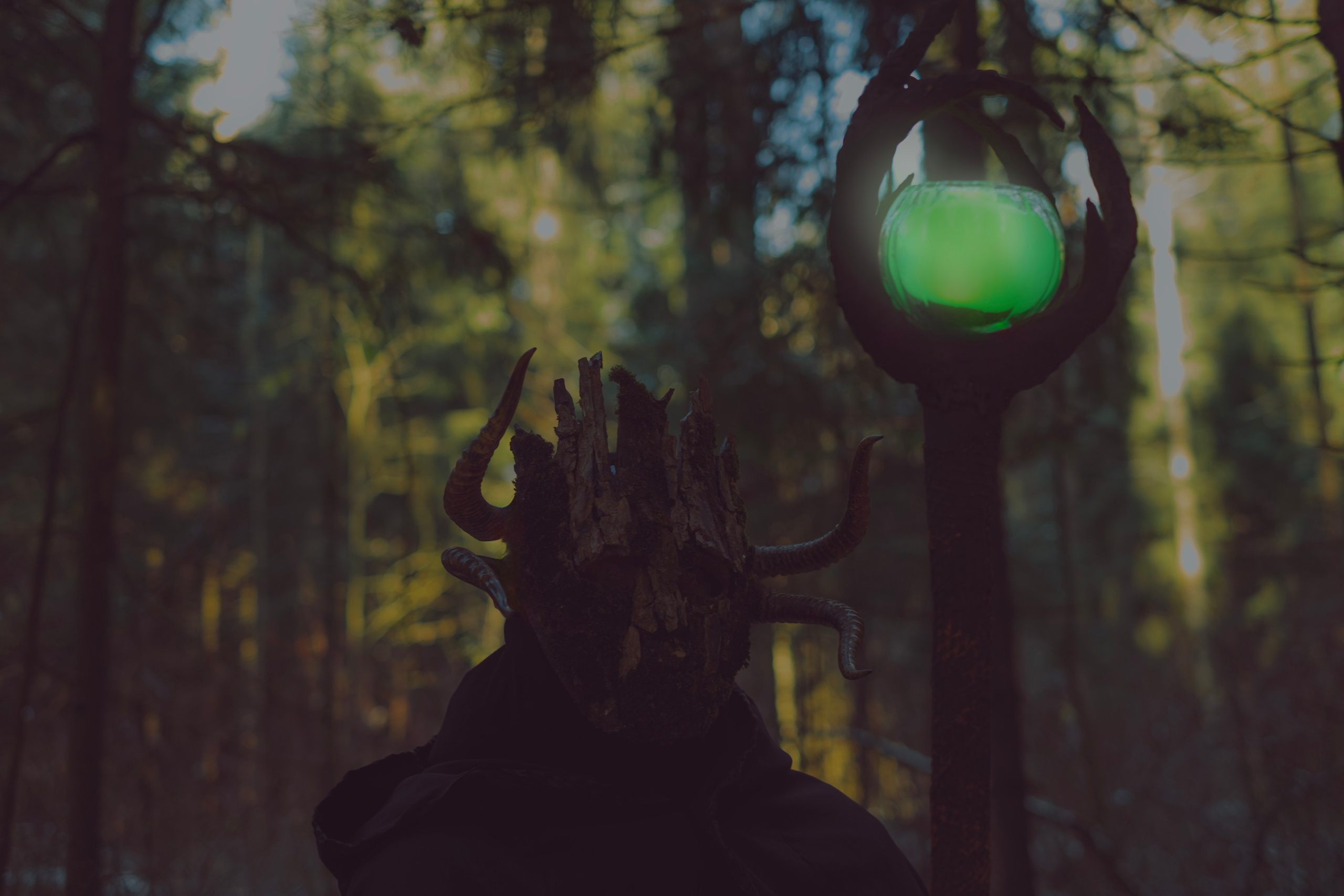 «Дух леса». Фотограф (Москва, Мытищи)— Комова Анастасия